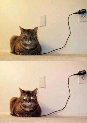 Fully charged.jpg