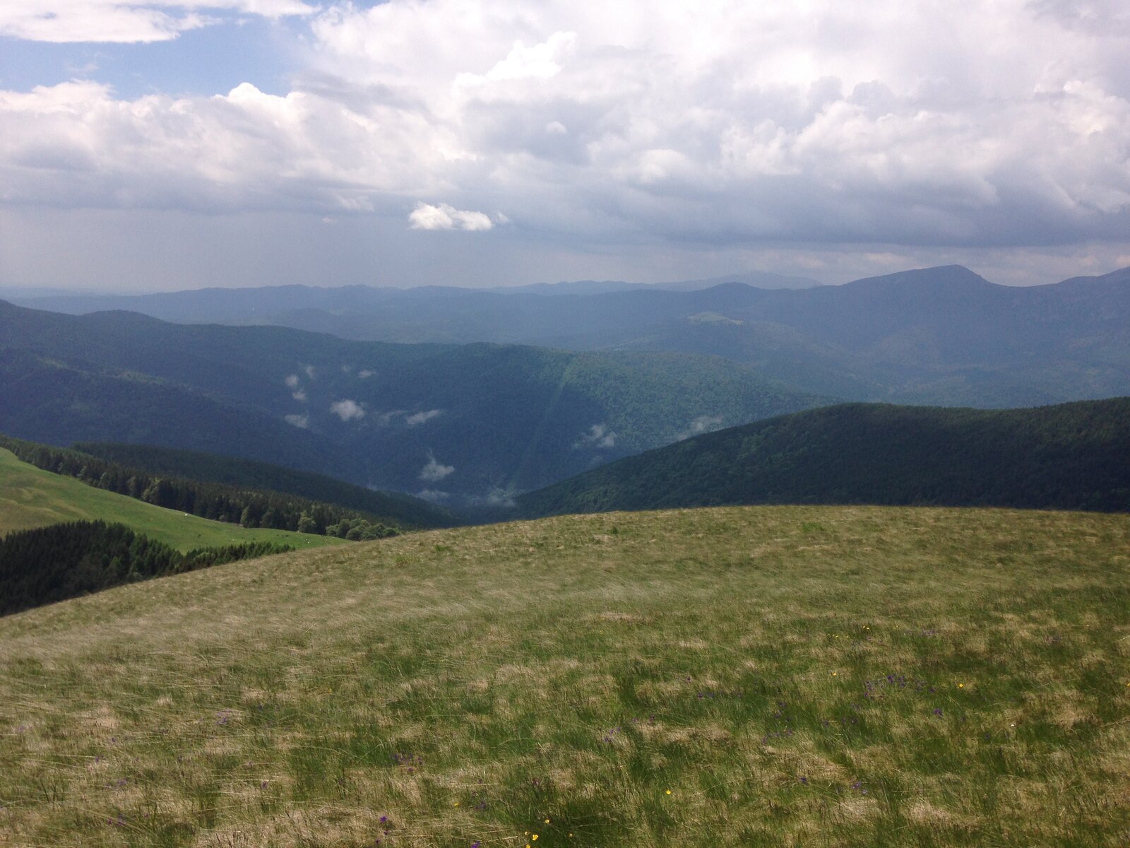 IMG_4620.JPG