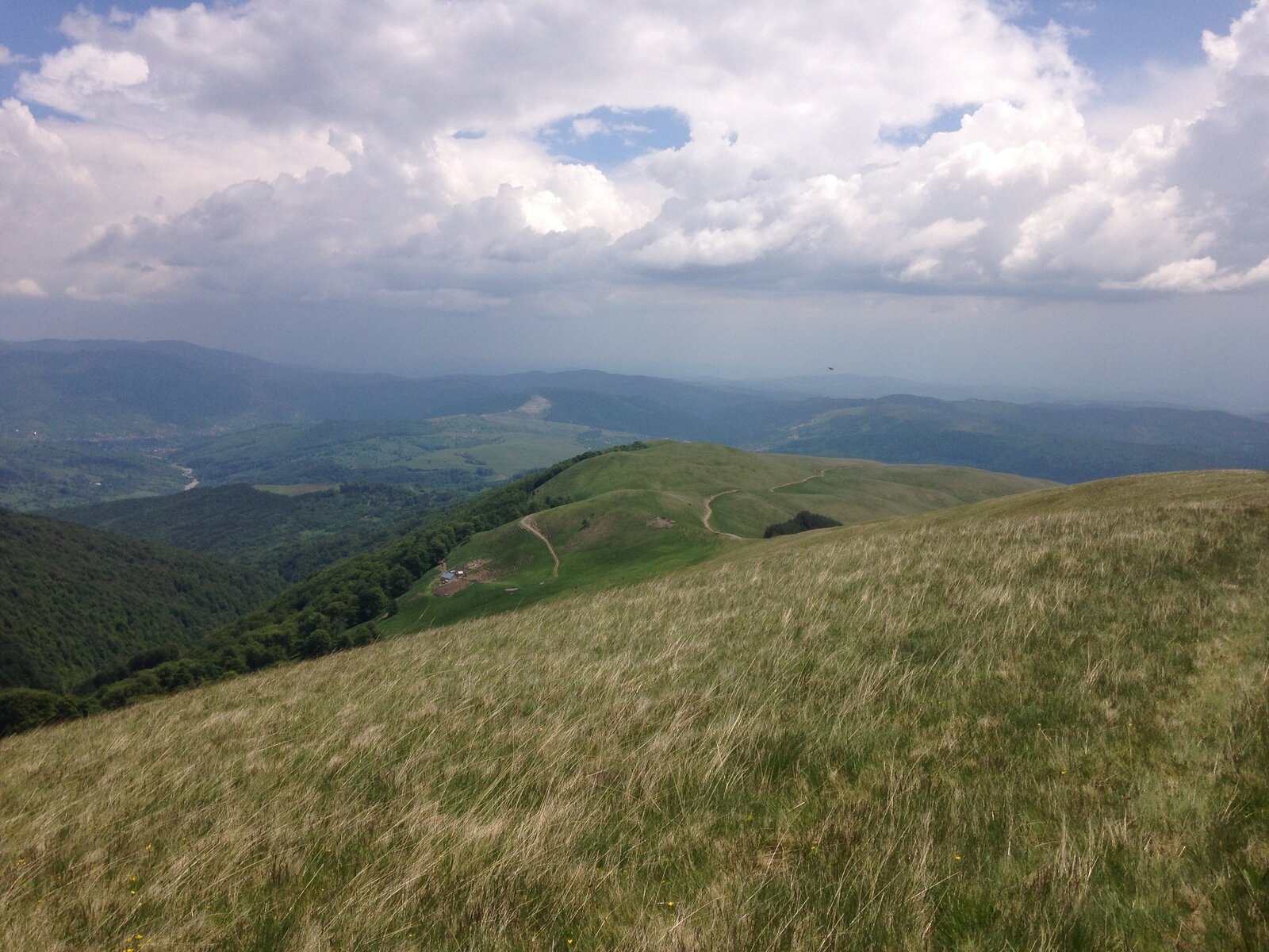 IMG_4629.JPG