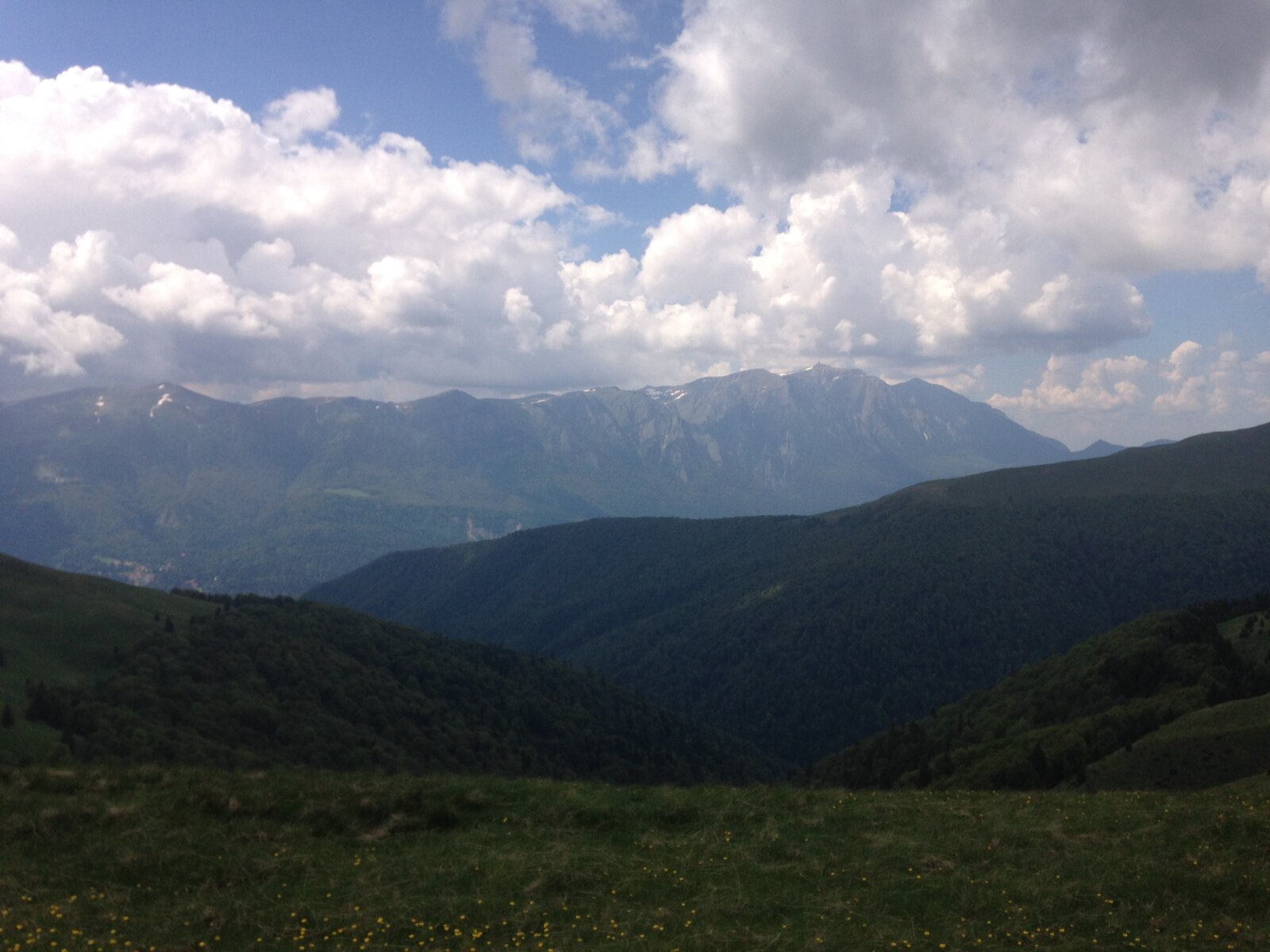 IMG_4646.JPG