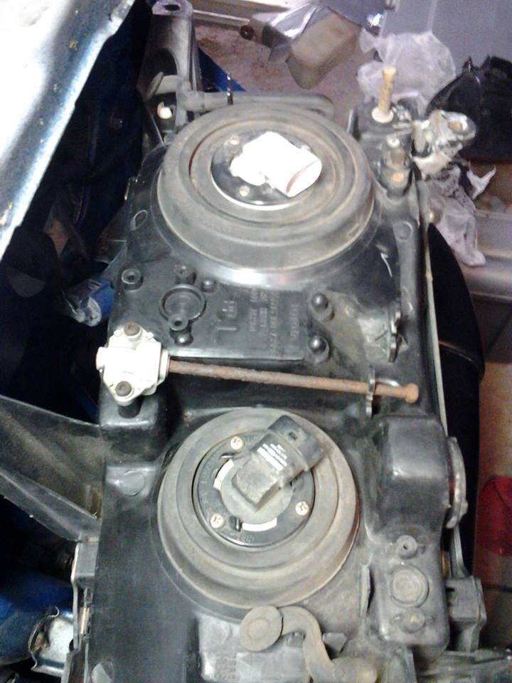 11356084_10206068902476056_1957550281_n.jpg