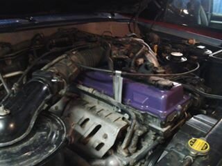 11647211_10206198107426099_134937329_n.jpg