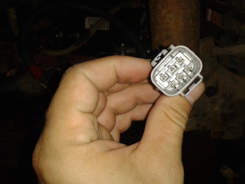 2015-07-11 12.37.33.jpeg
