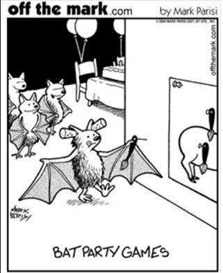 Bat.jpg