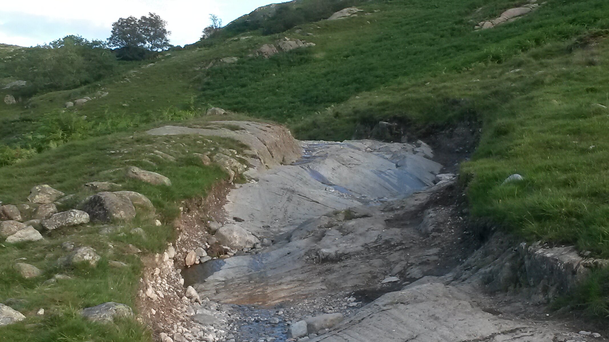 20150730_194250.jpg