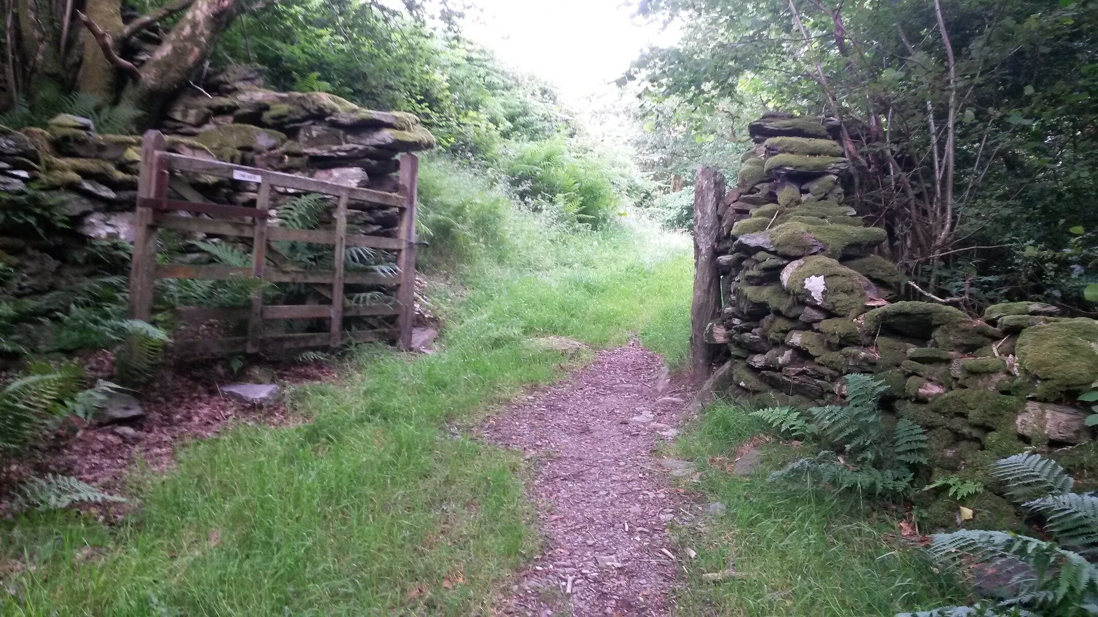 20150731_175219.jpg