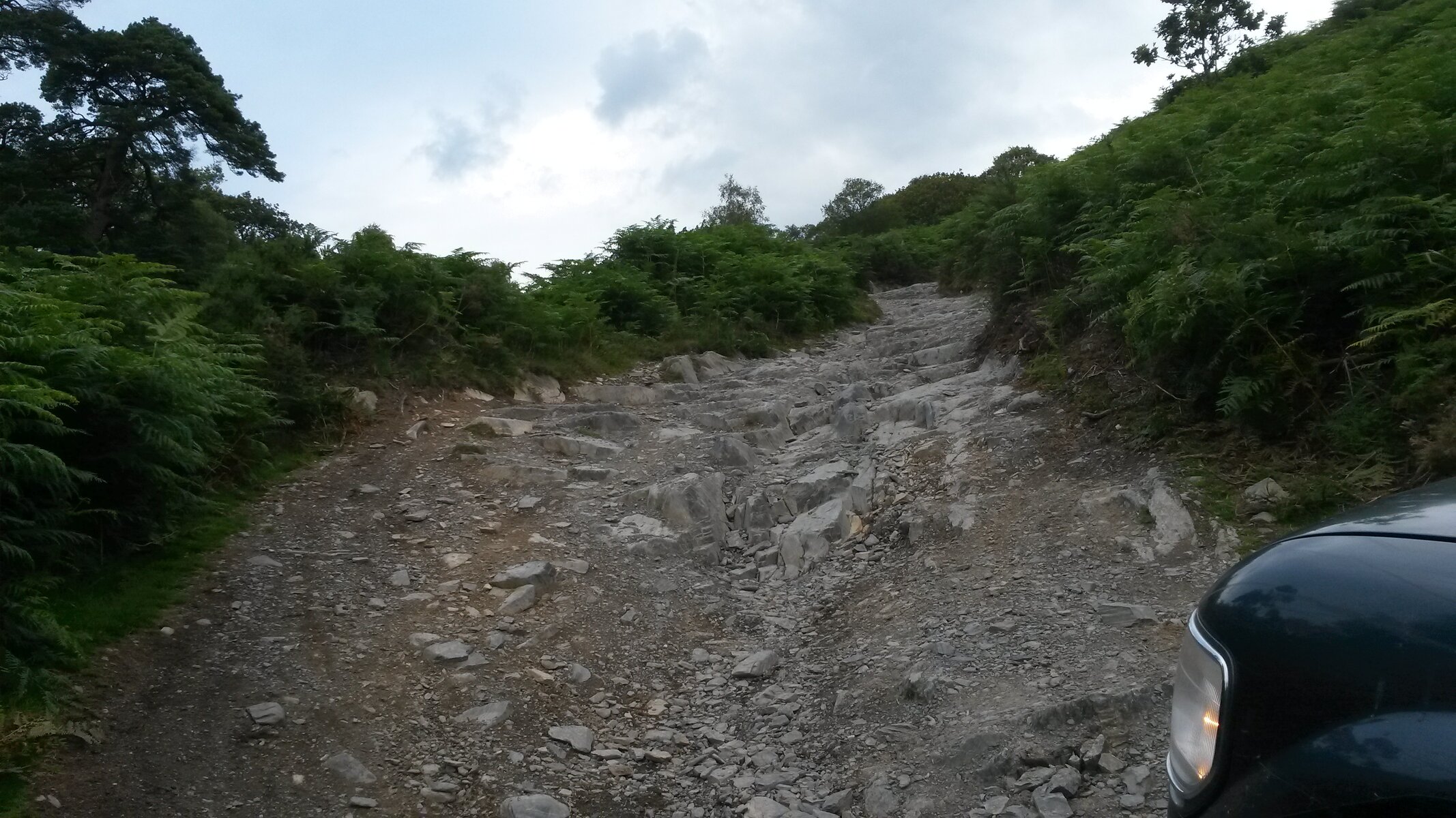 20150731_192032.jpg