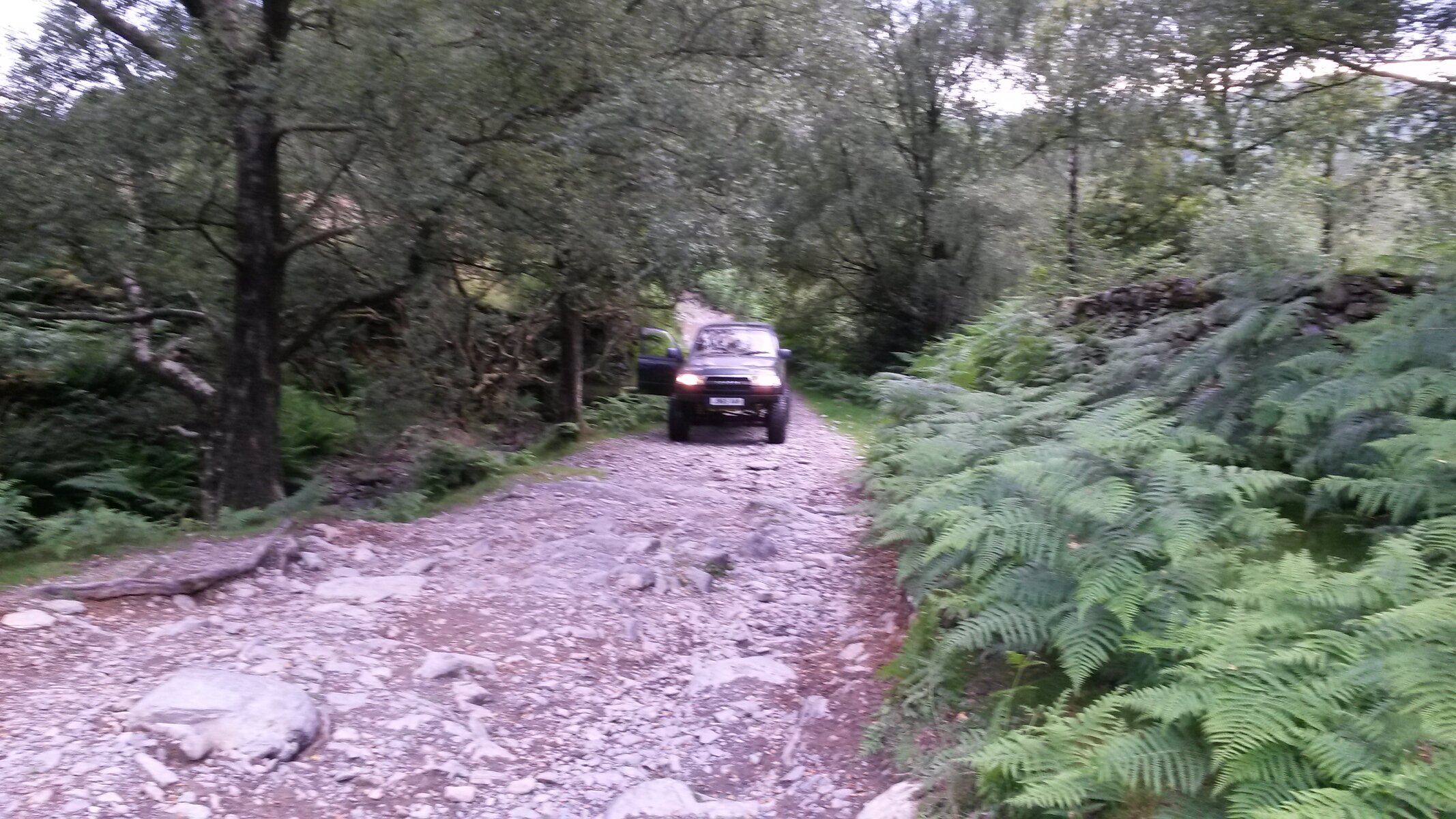 20150731_193001.jpg