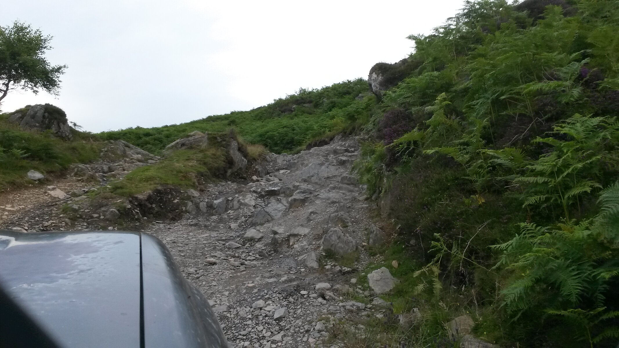 20150731_193702.jpg