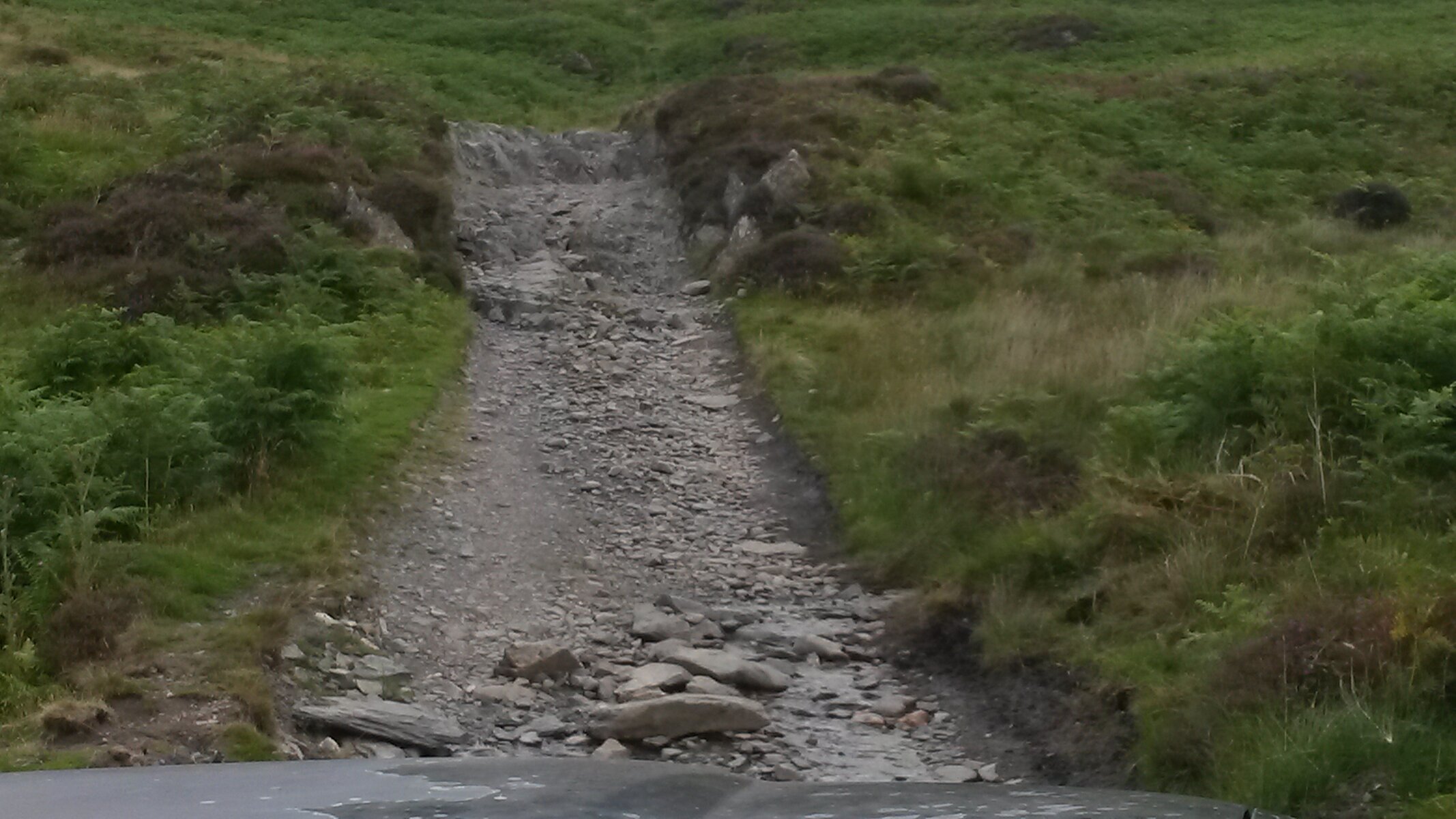 20150731_193859.jpg