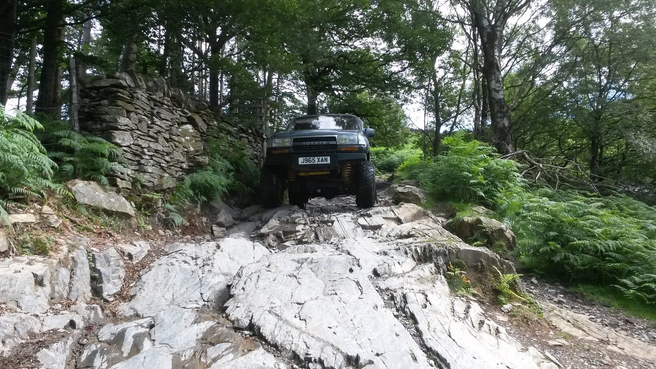 20150801_112417.jpg
