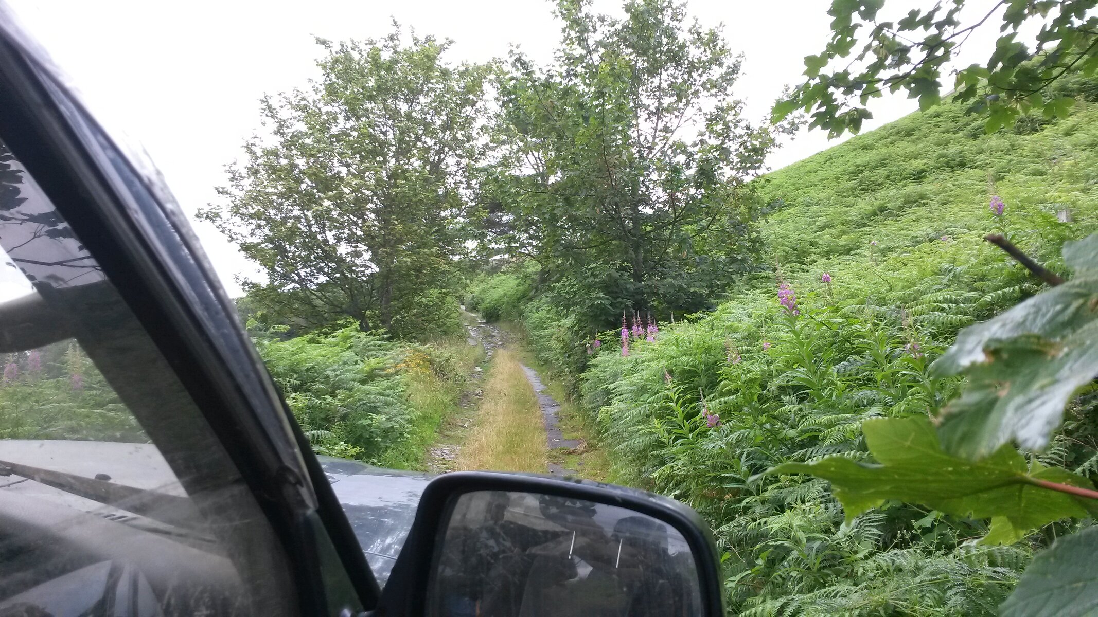 20150802_170610.jpg