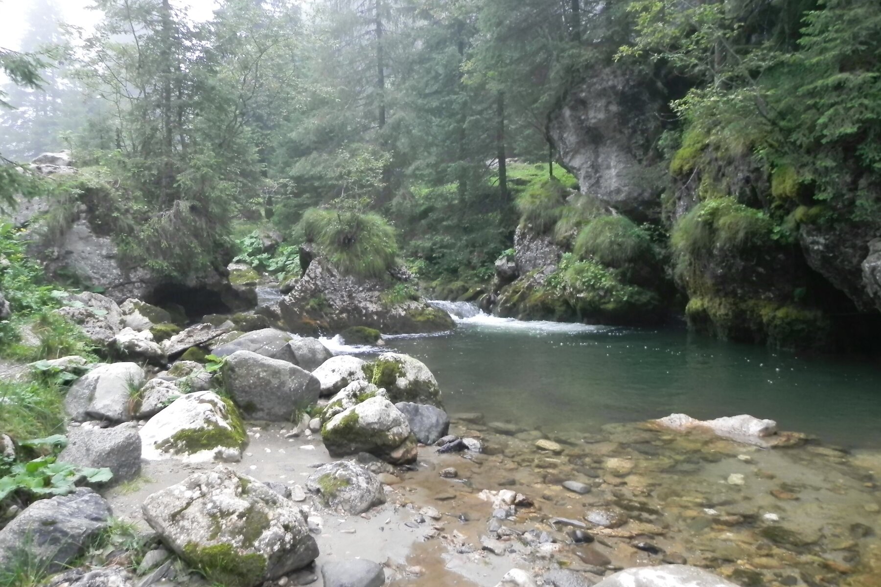 DSCN7157a.JPG