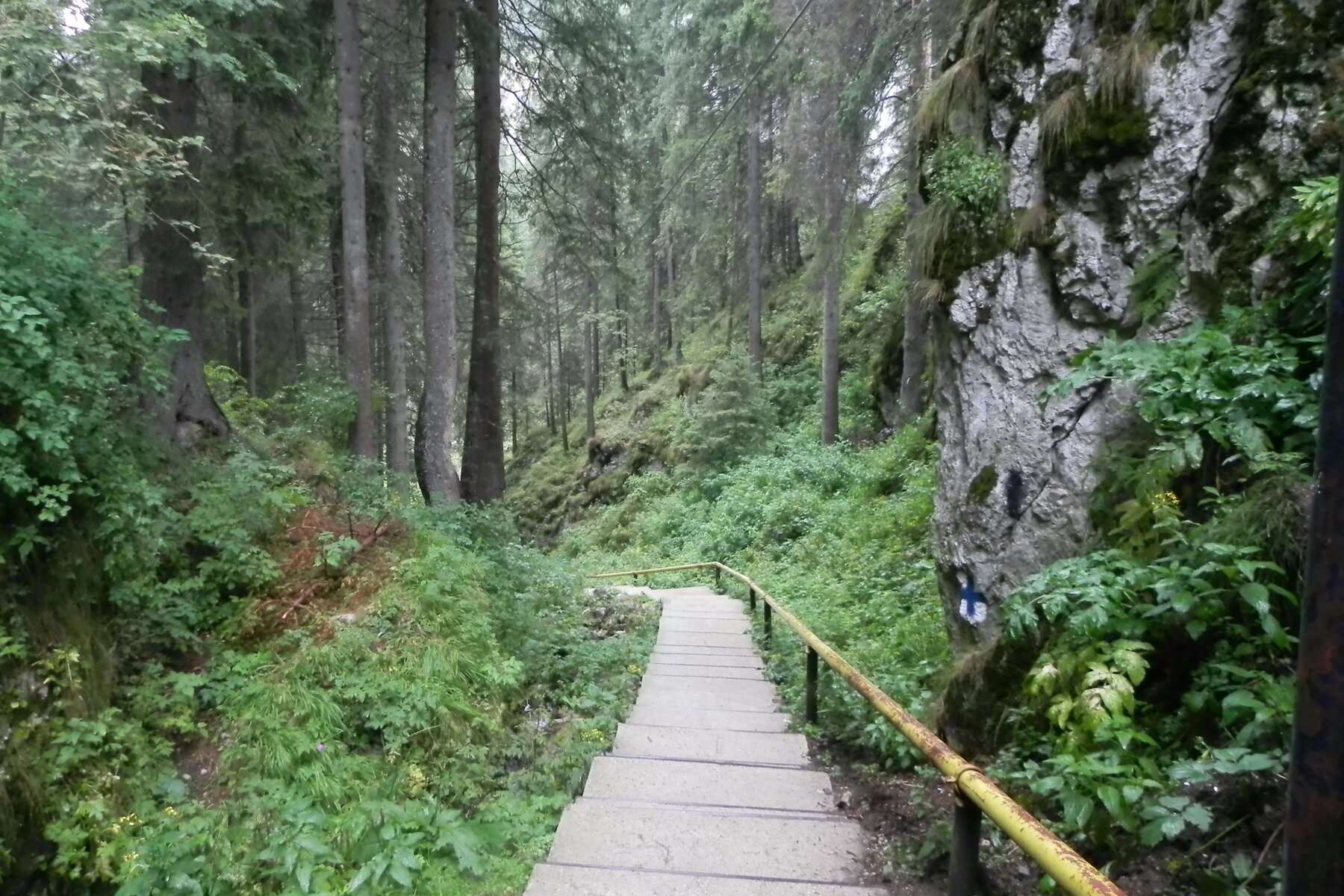 DSCN7170a.JPG