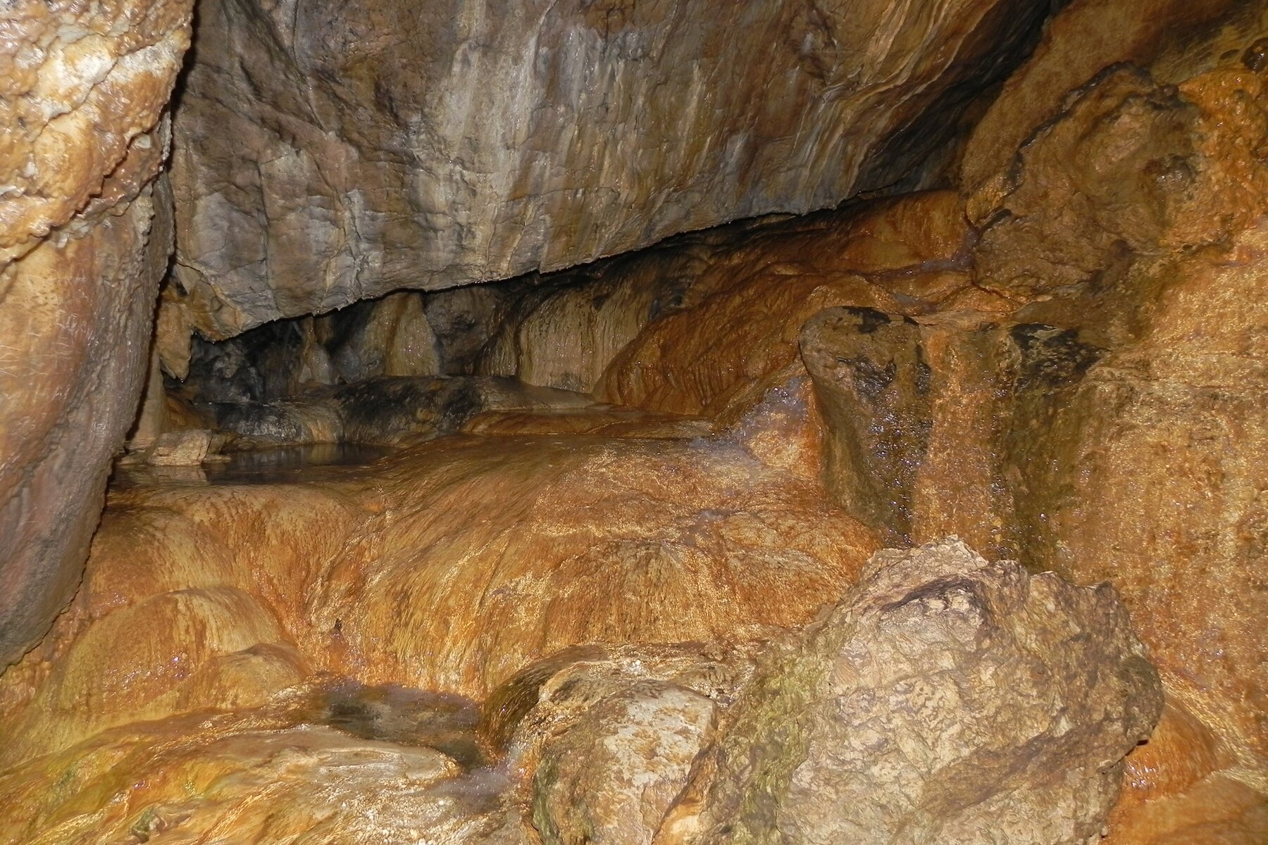 DSCN7191a.JPG