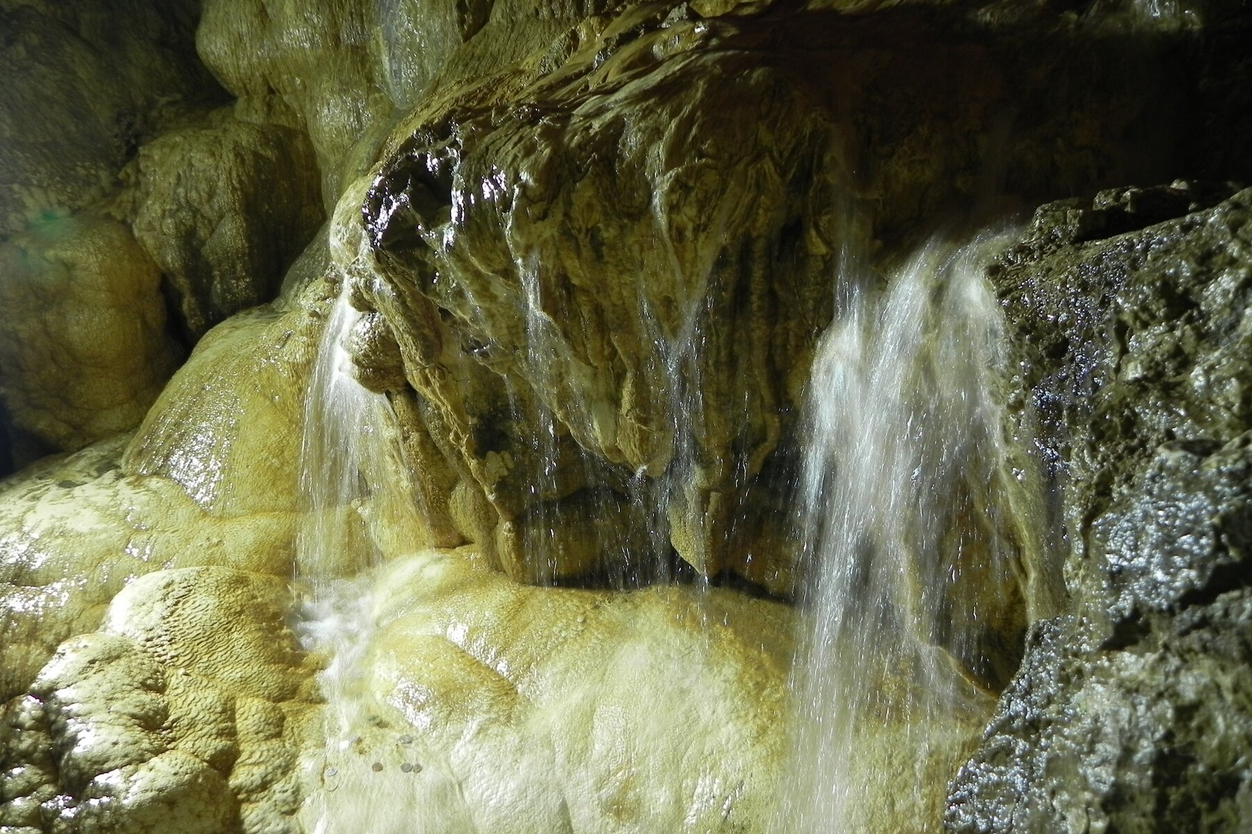 DSCN7194a.JPG