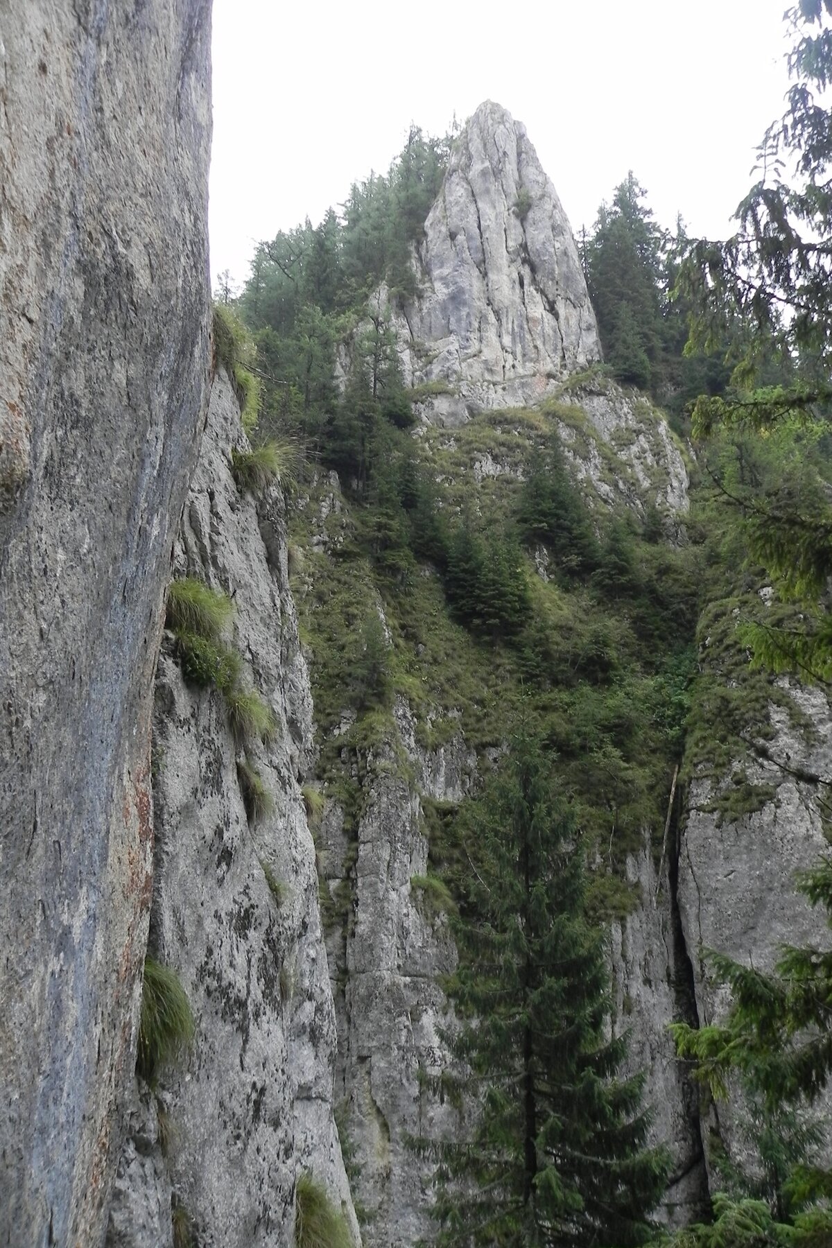 DSCN7199a.JPG