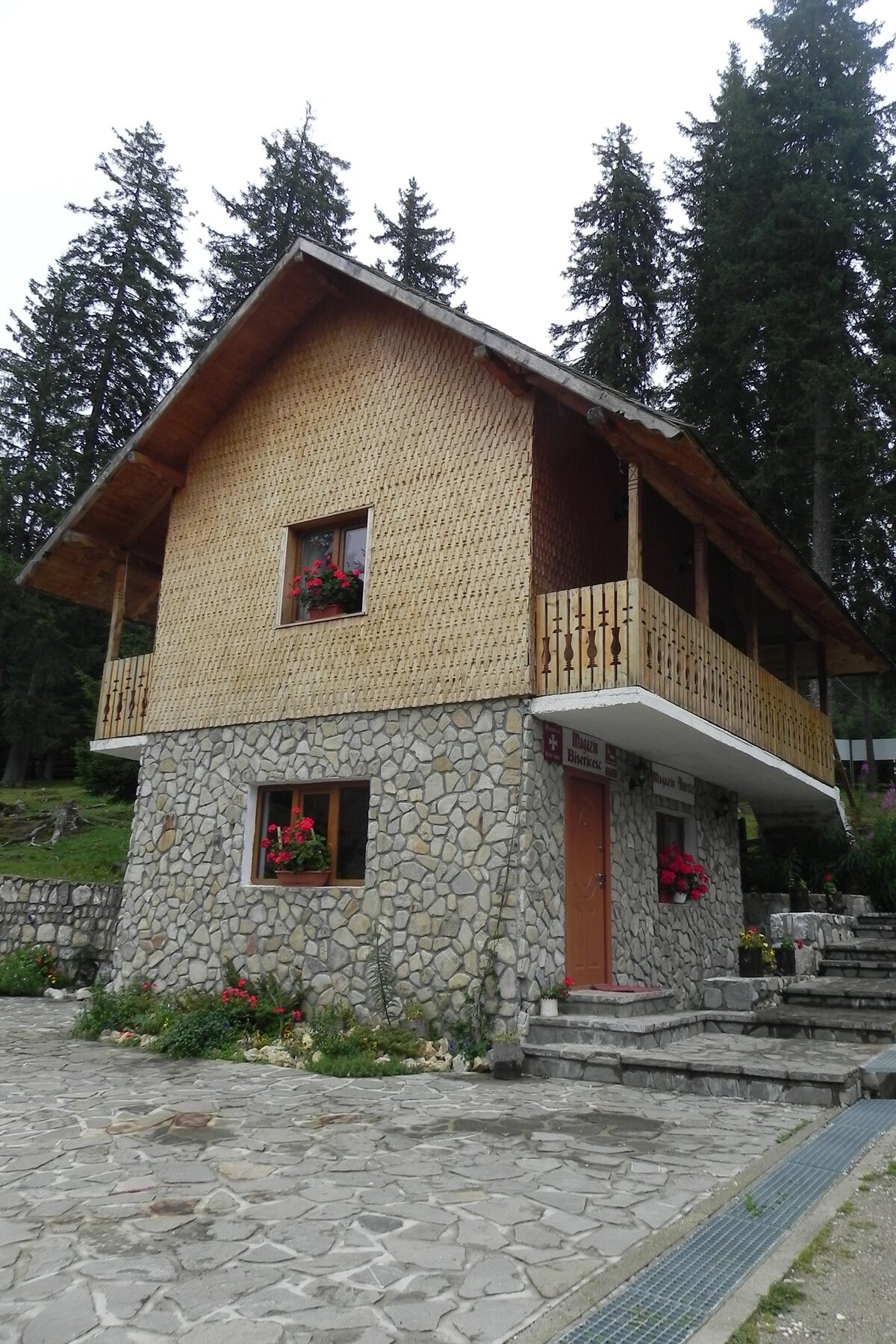 DSCN7203a.JPG