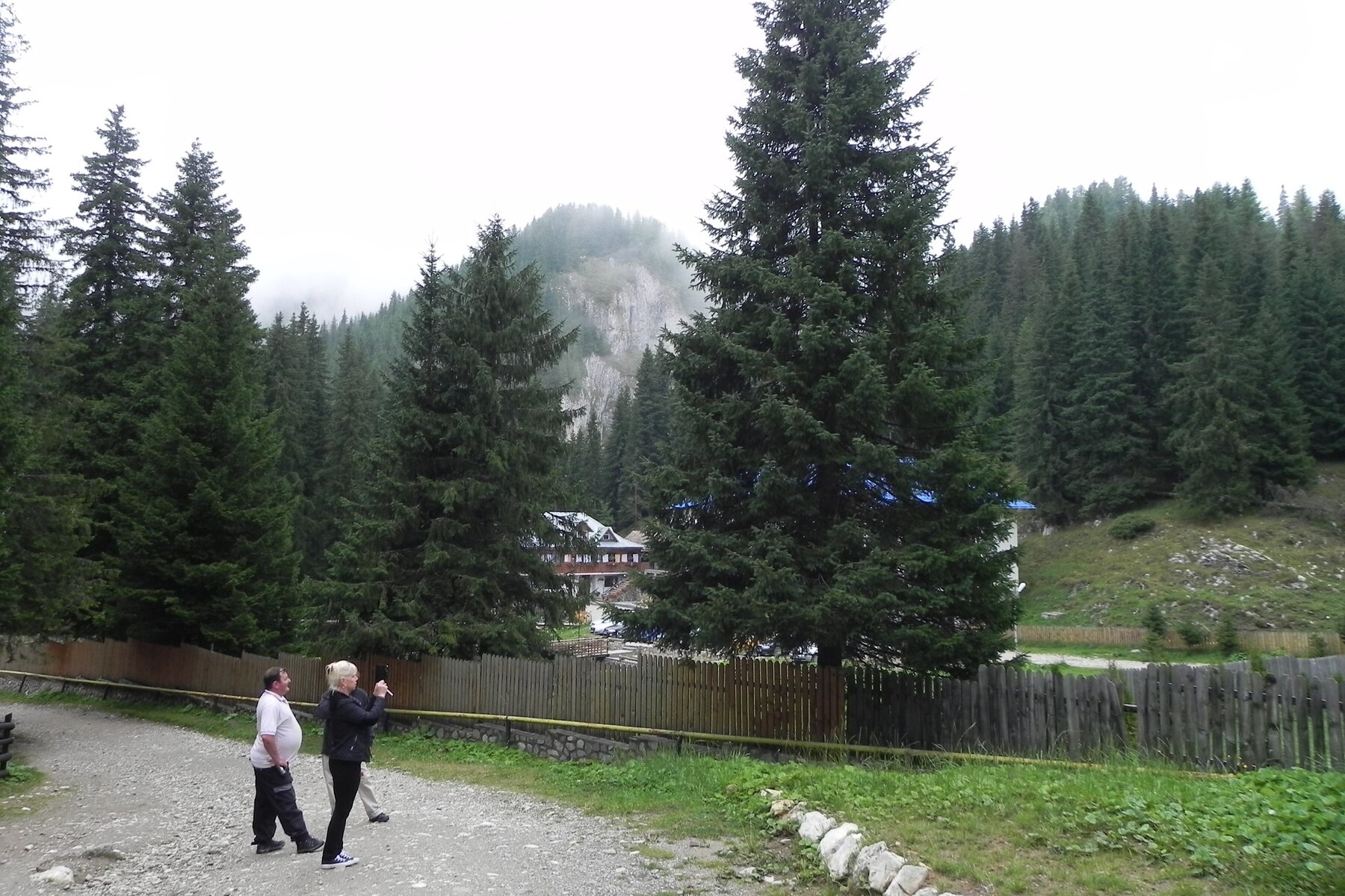 DSCN7204a.JPG