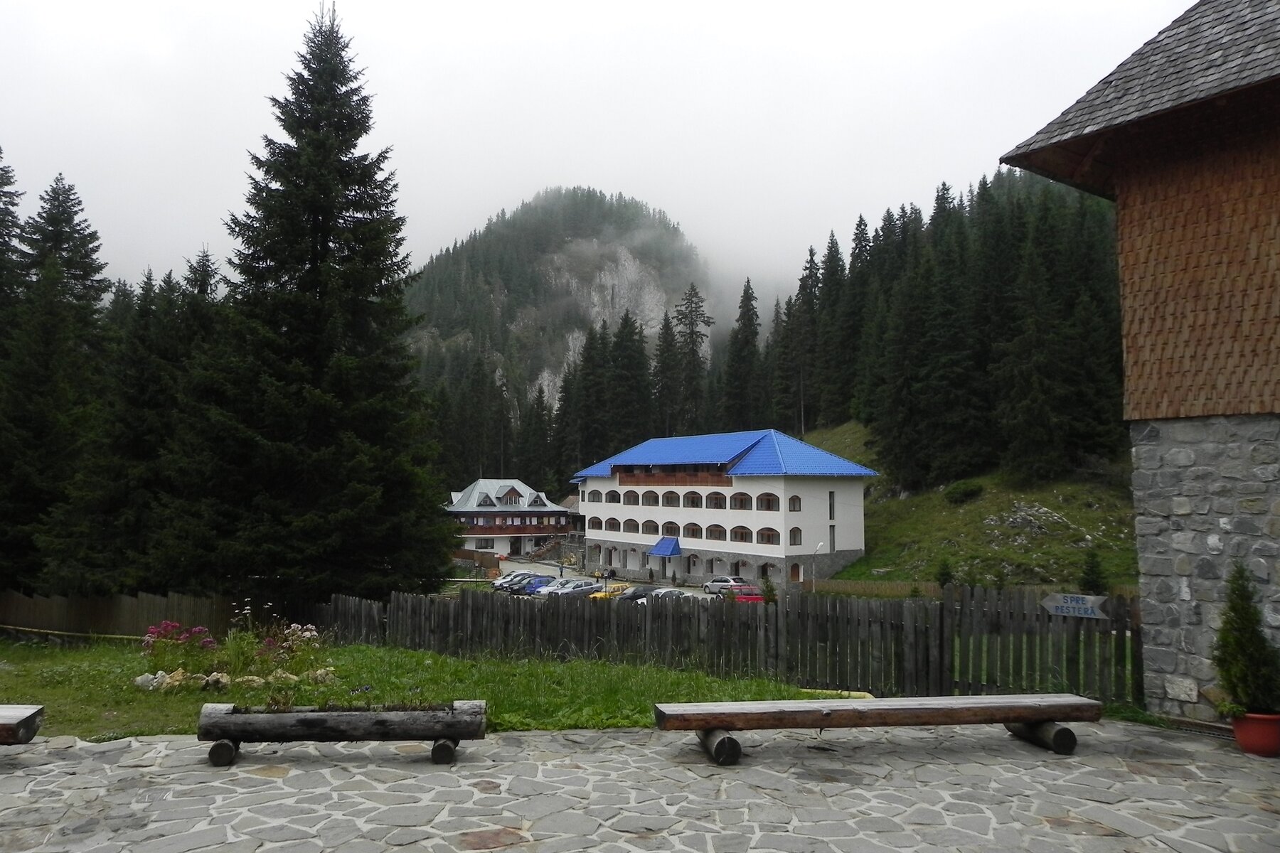 DSCN7206a.JPG