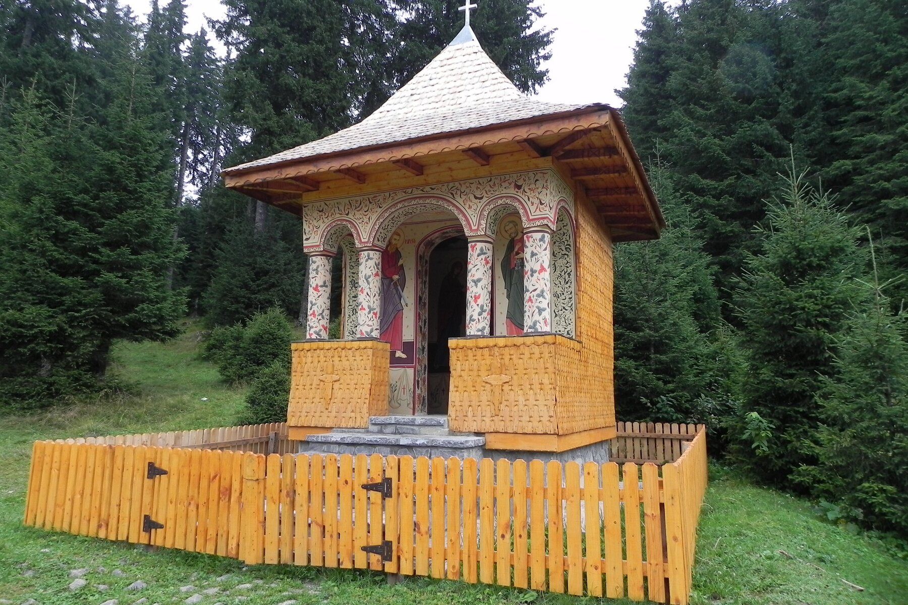 DSCN7213a.JPG