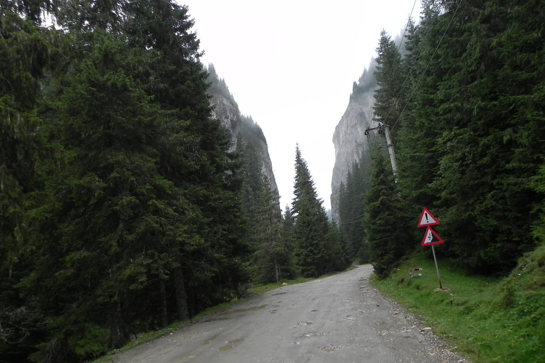 DSCN7223a.JPG