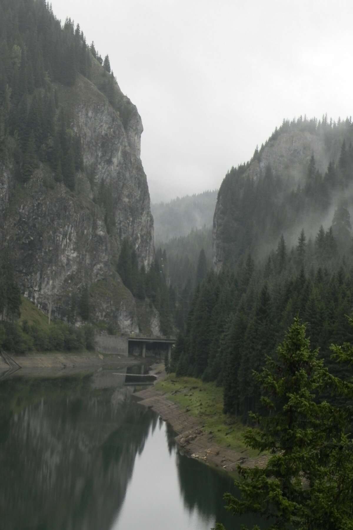 DSCN7234a.JPG