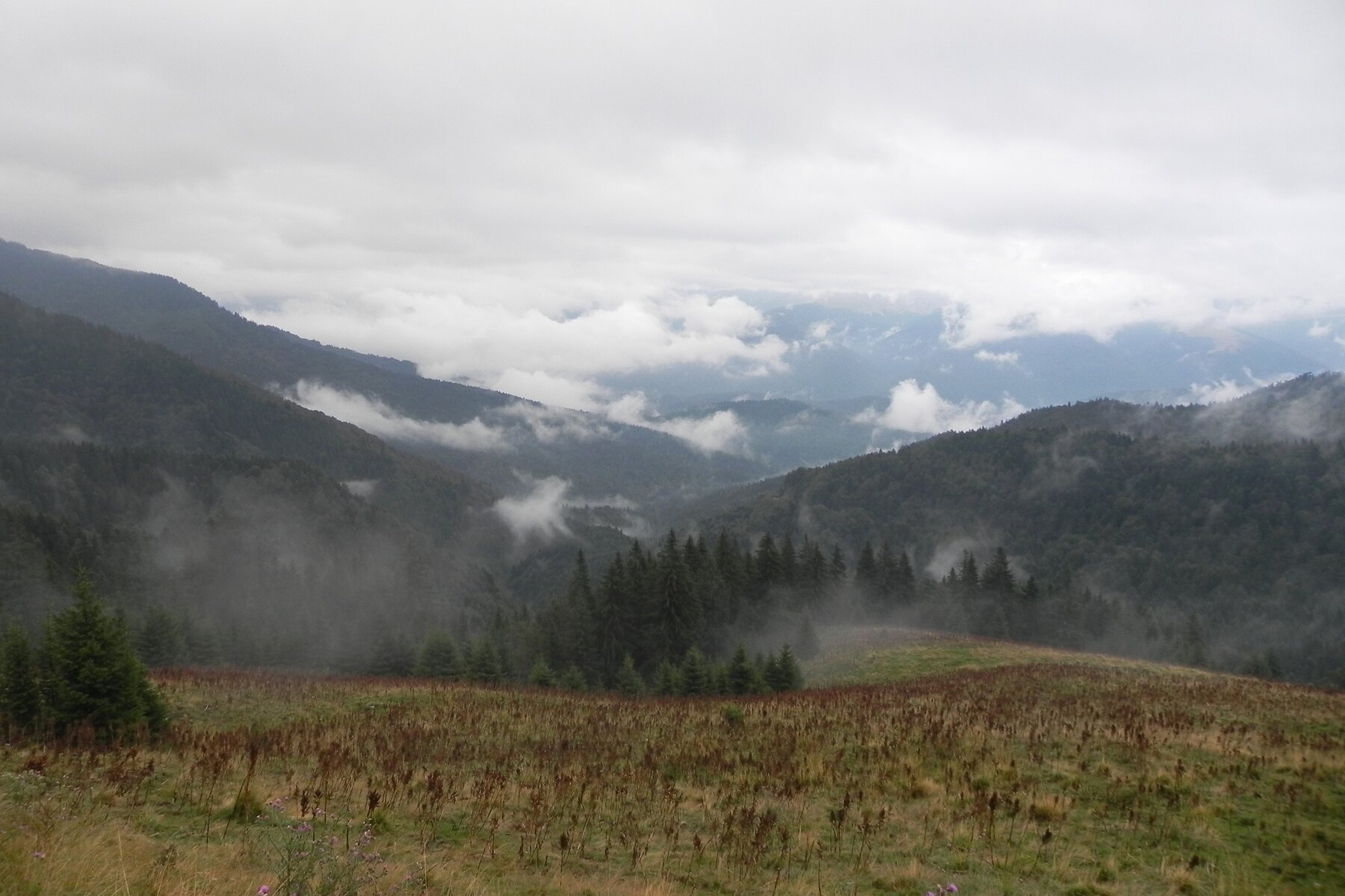 DSCN7252a.JPG