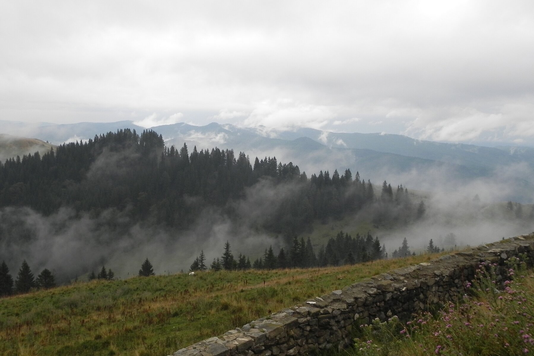 DSCN7255a.JPG