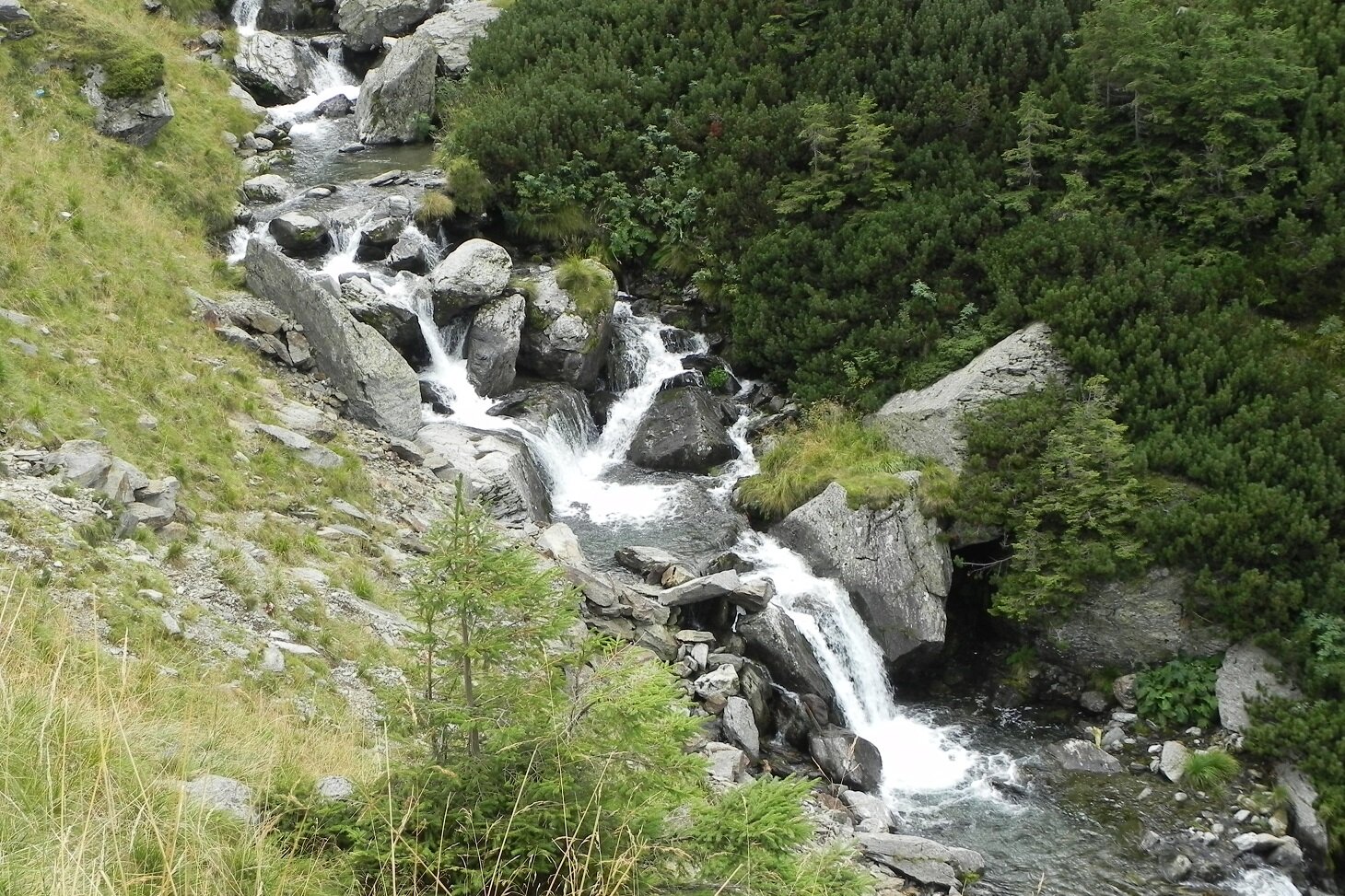 DSCN7330.JPG