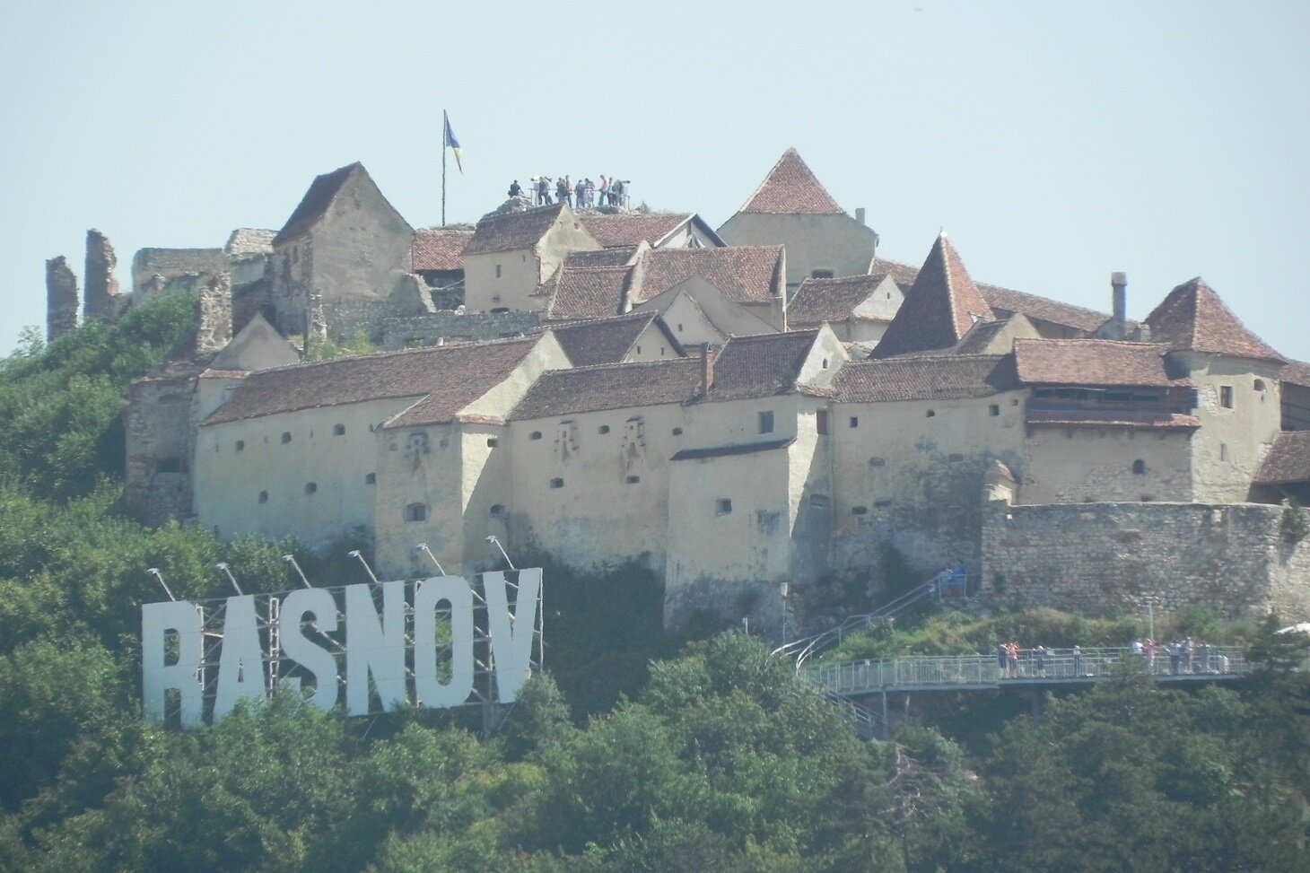 DSCN7310.JPG