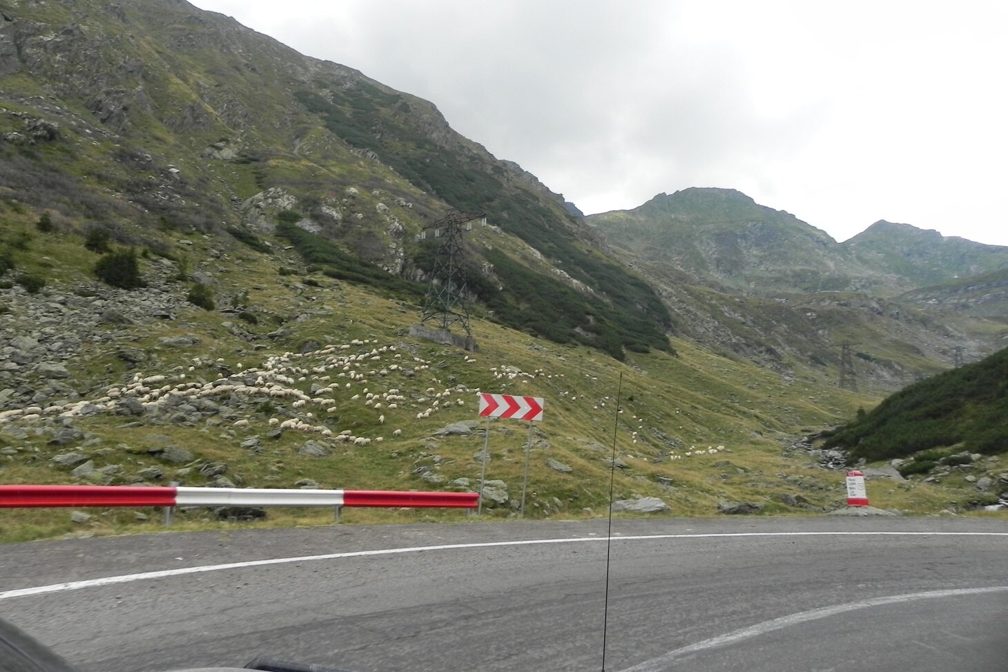 DSCN7344.JPG
