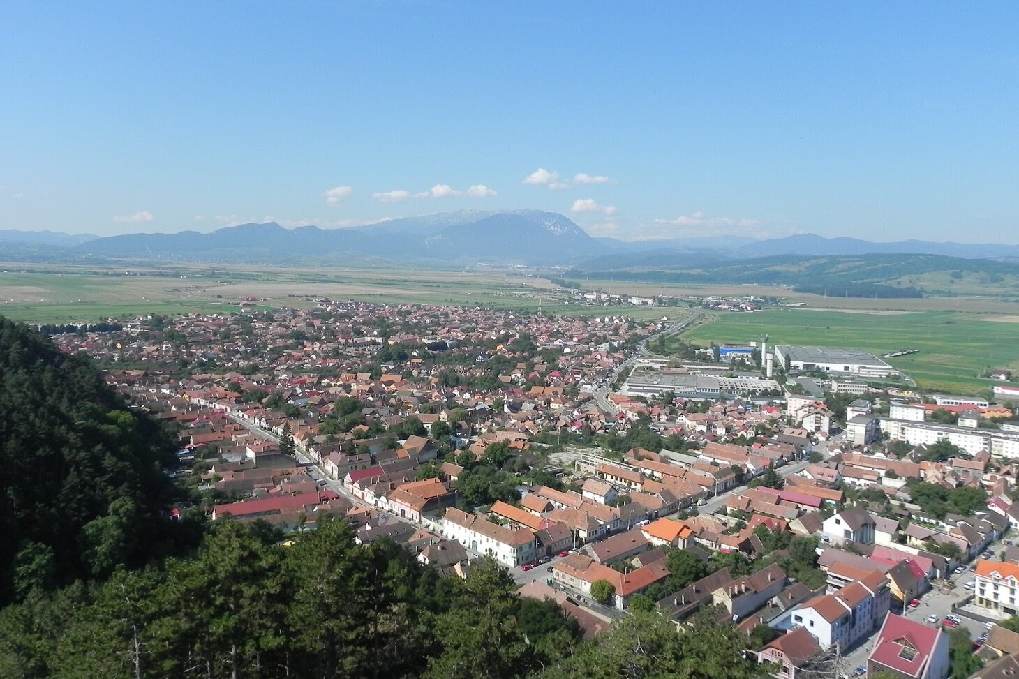 DSCN7279.JPG
