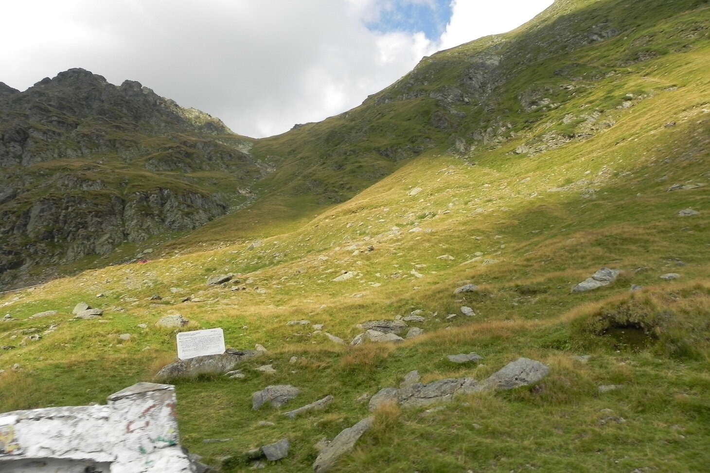 DSCN7487.JPG