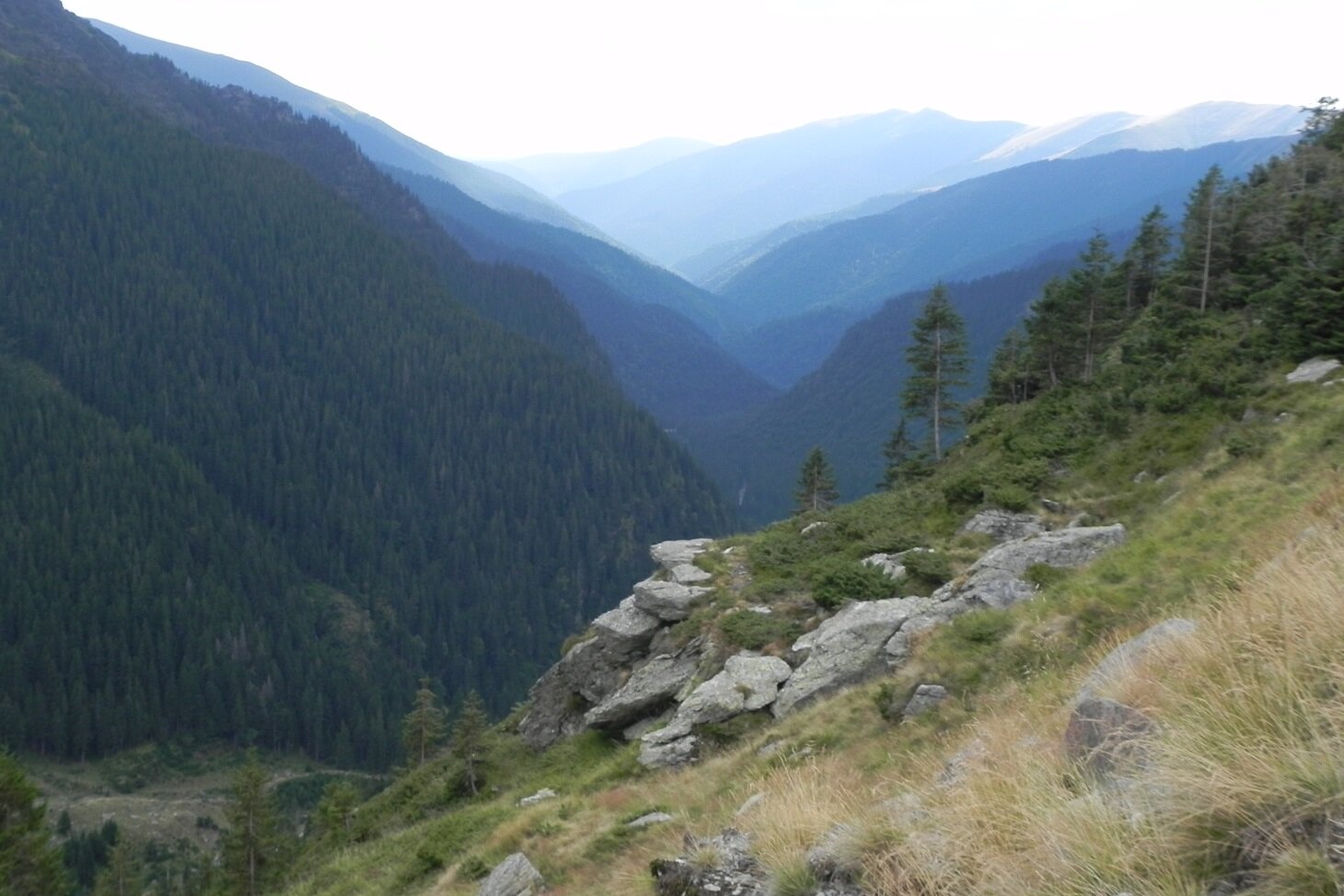DSCN7506.JPG