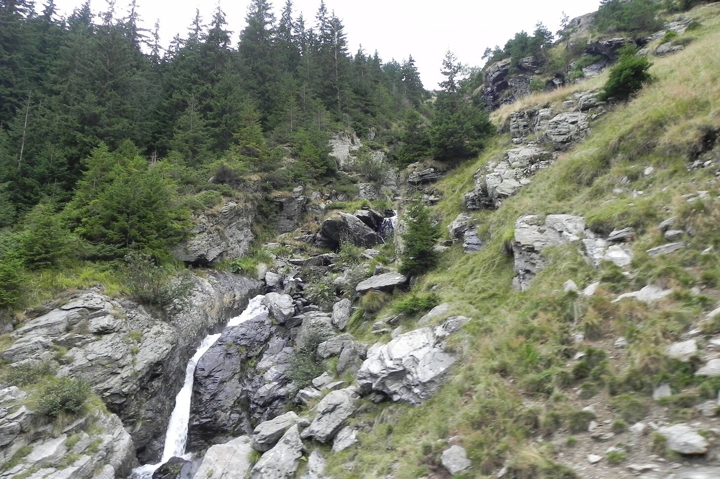 DSCN7533.JPG