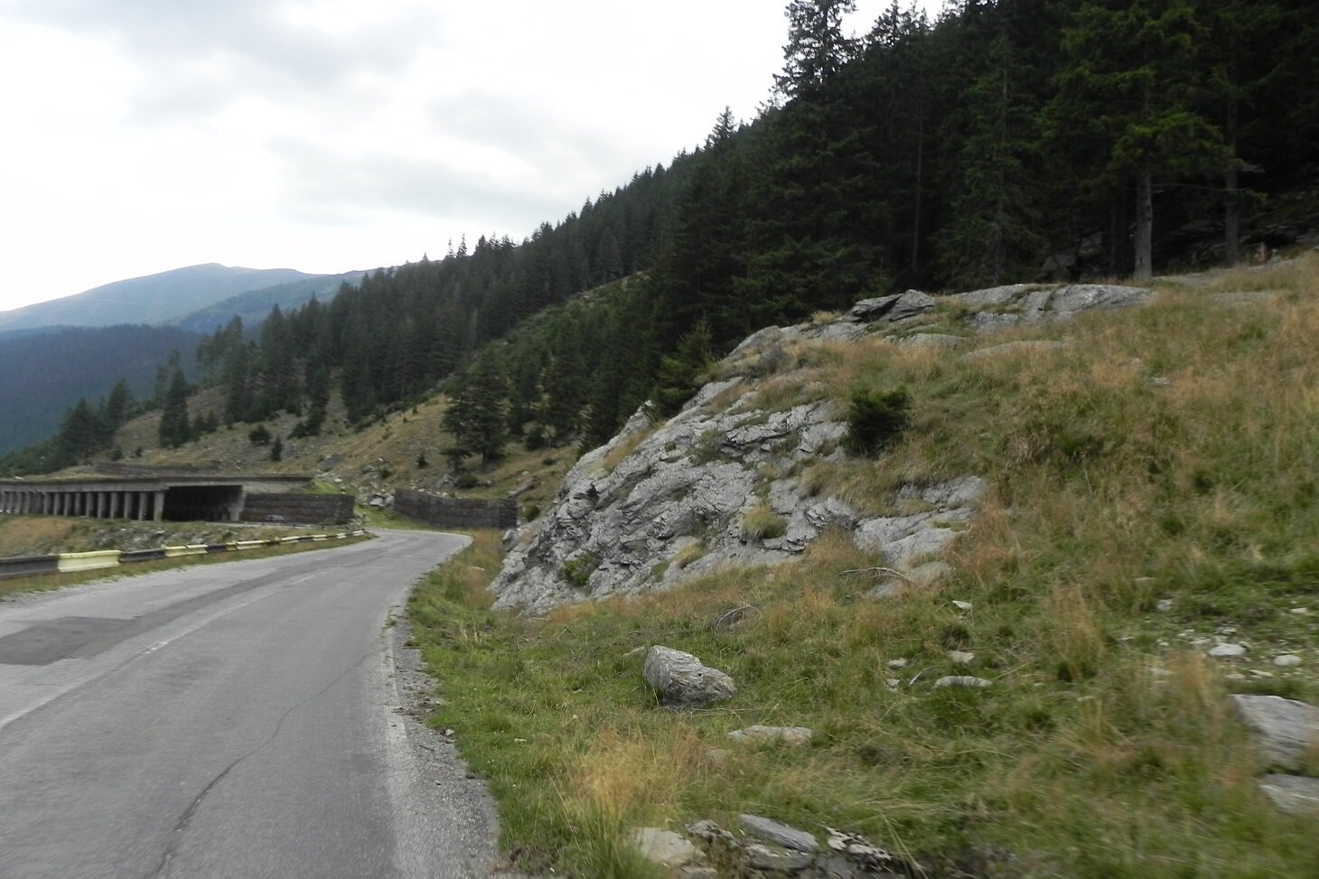 DSCN7536.JPG