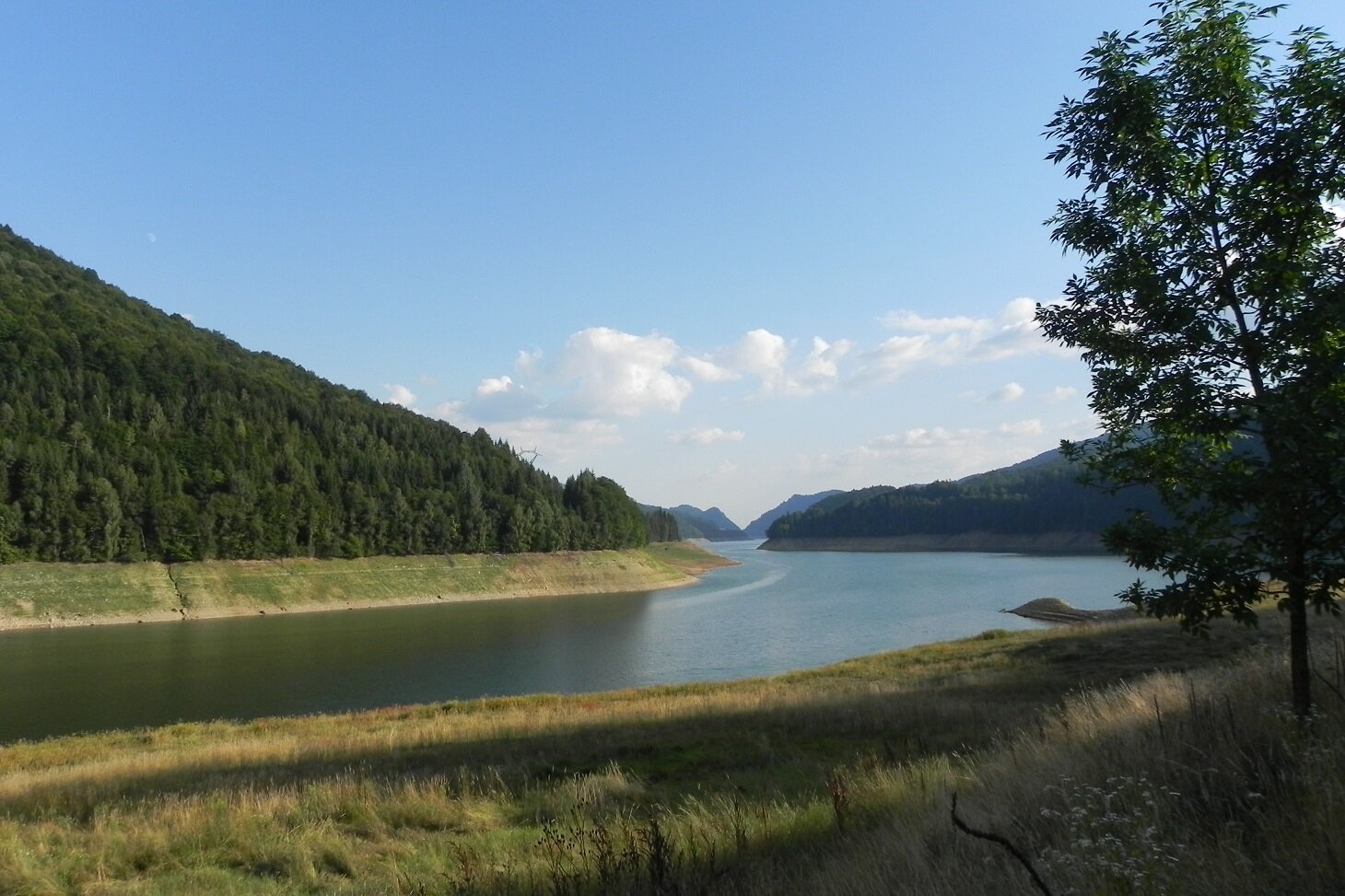 DSCN7540.JPG