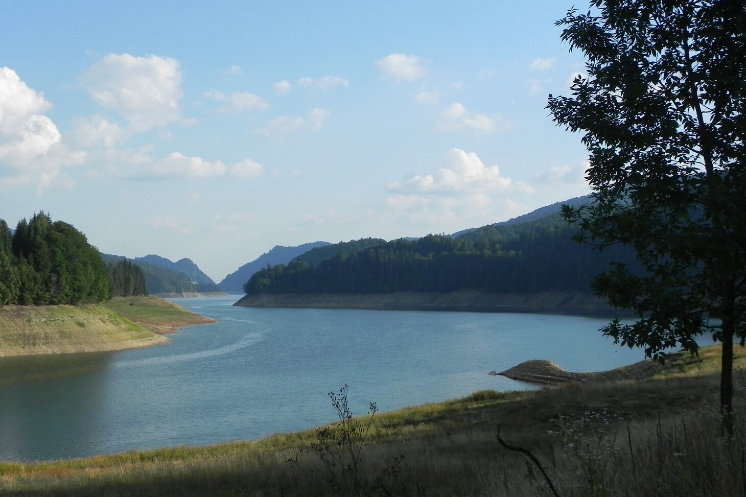 DSCN7551.JPG