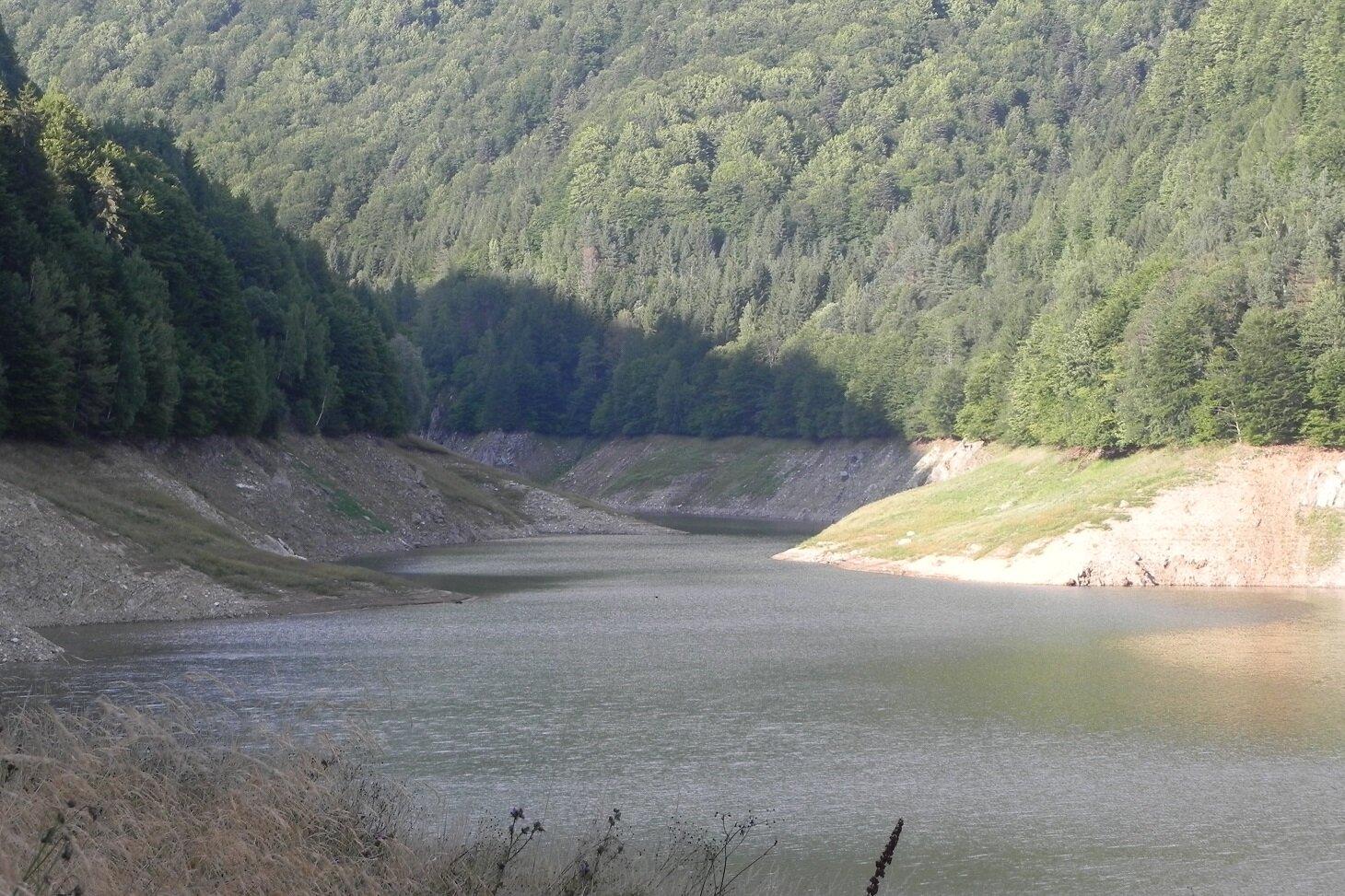 DSCN7552.JPG