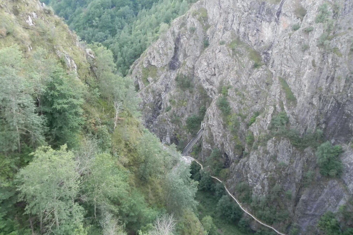 DSCN7567.JPG