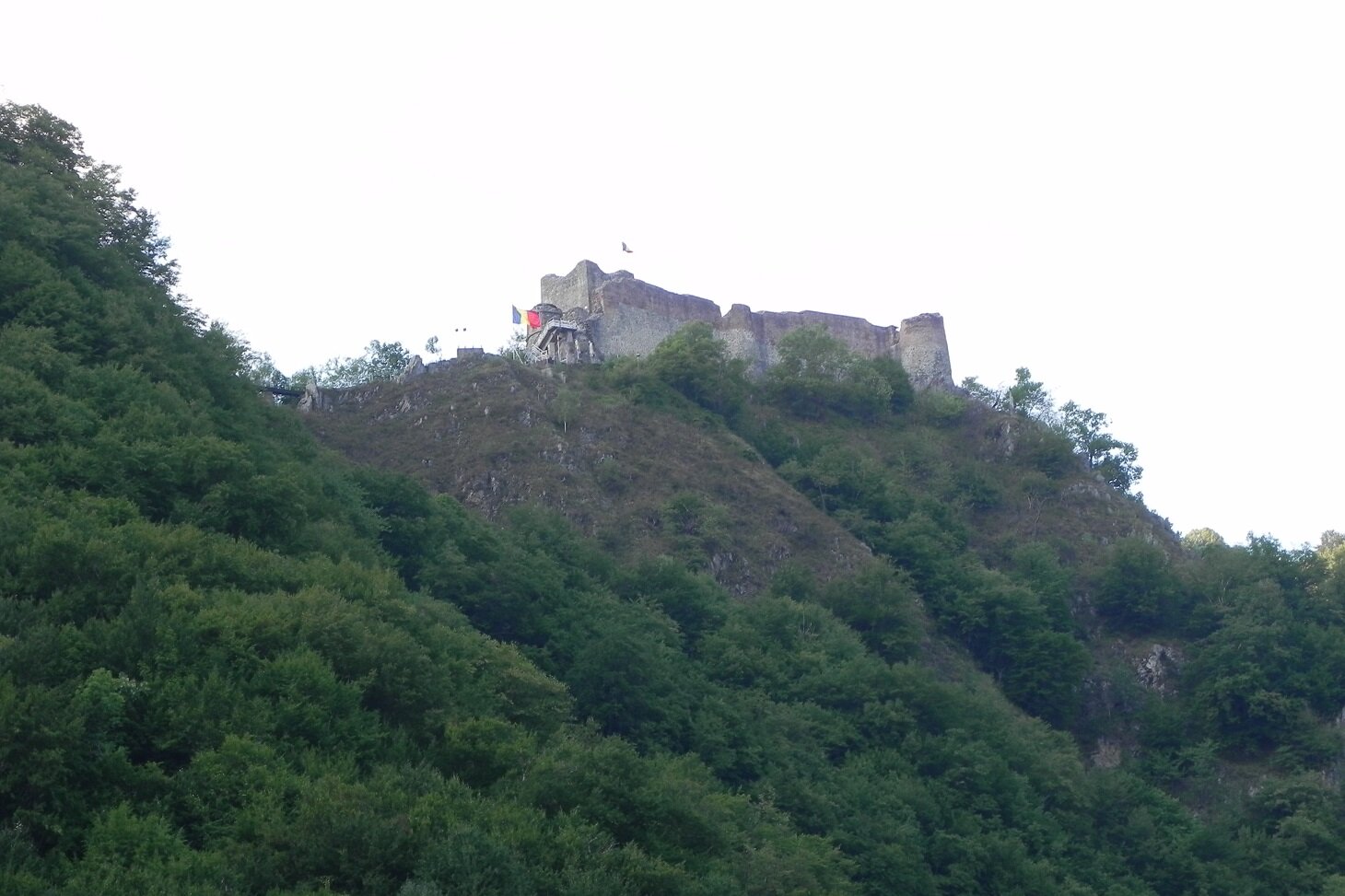 DSCN7575.JPG