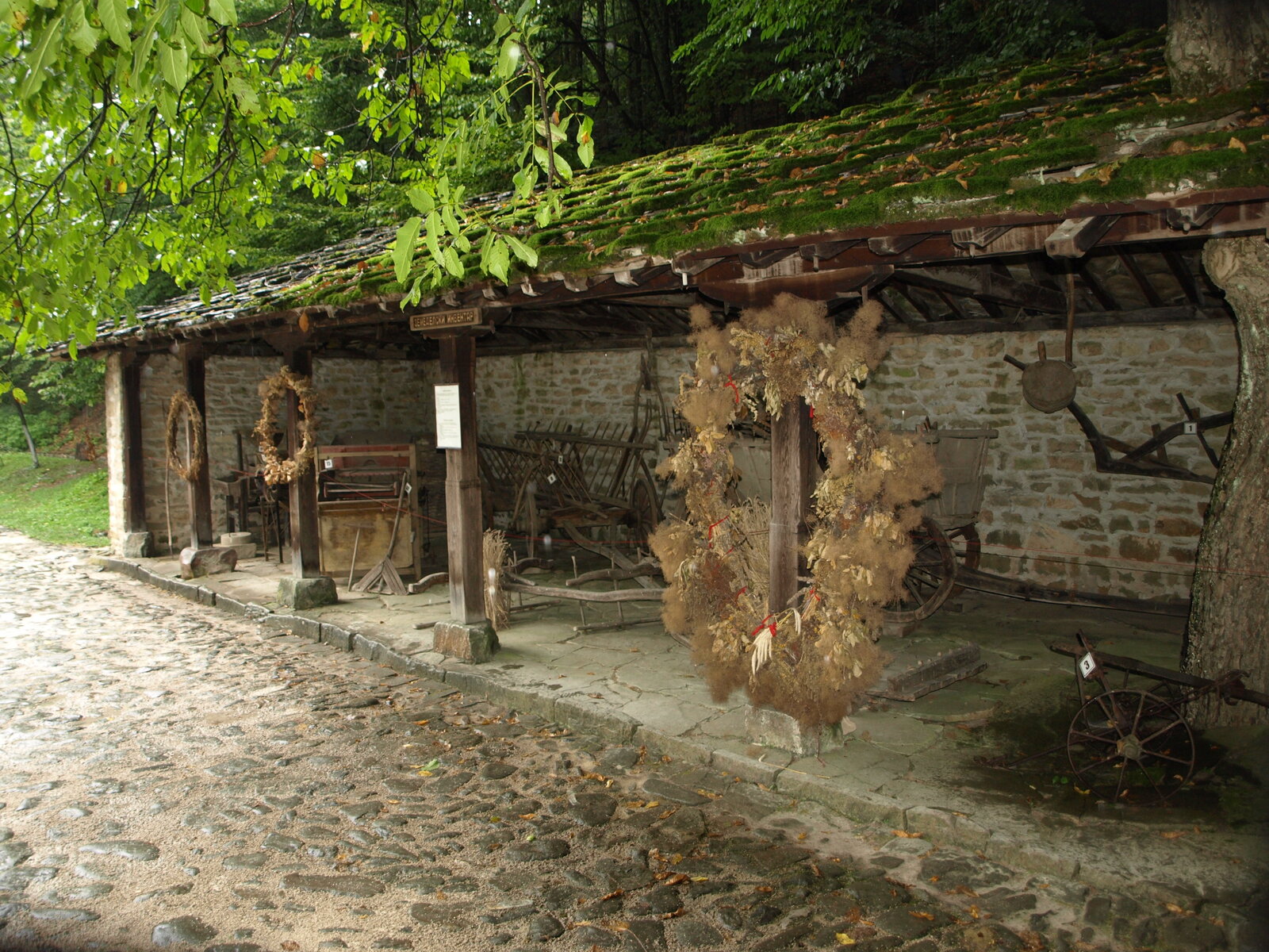 Etara 059.jpg
