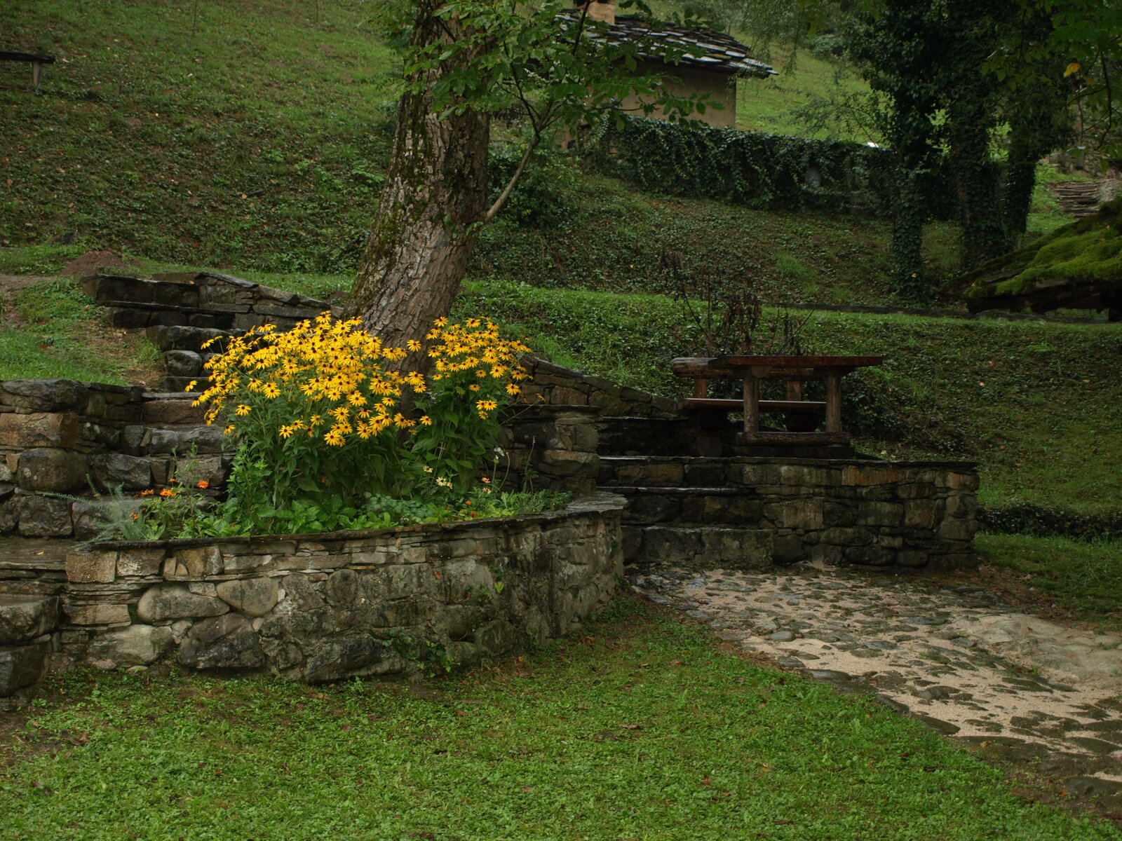 Etara 076.jpg