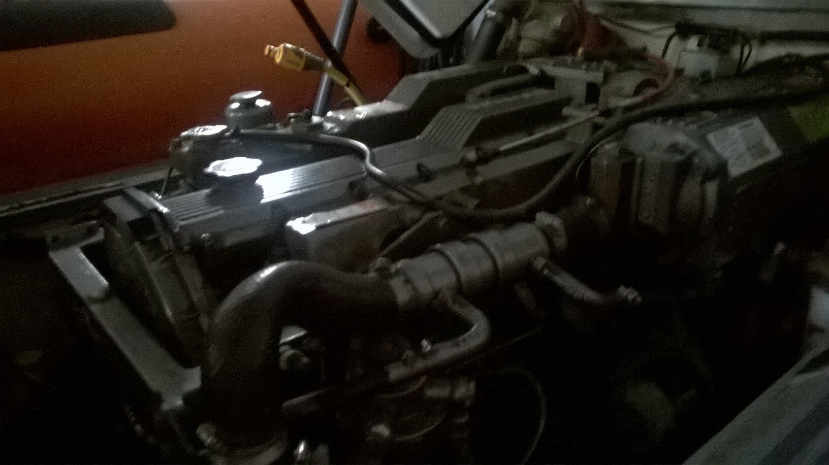 WP_20150923_004.jpg