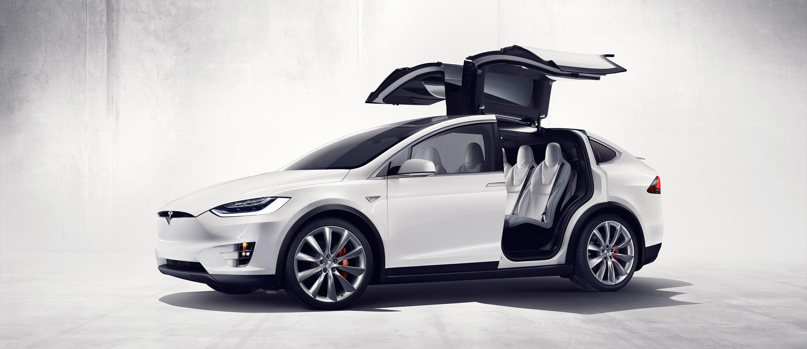 Tesla x.jpg