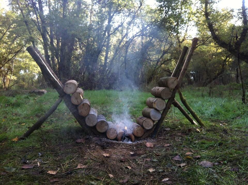 Log fire.jpg