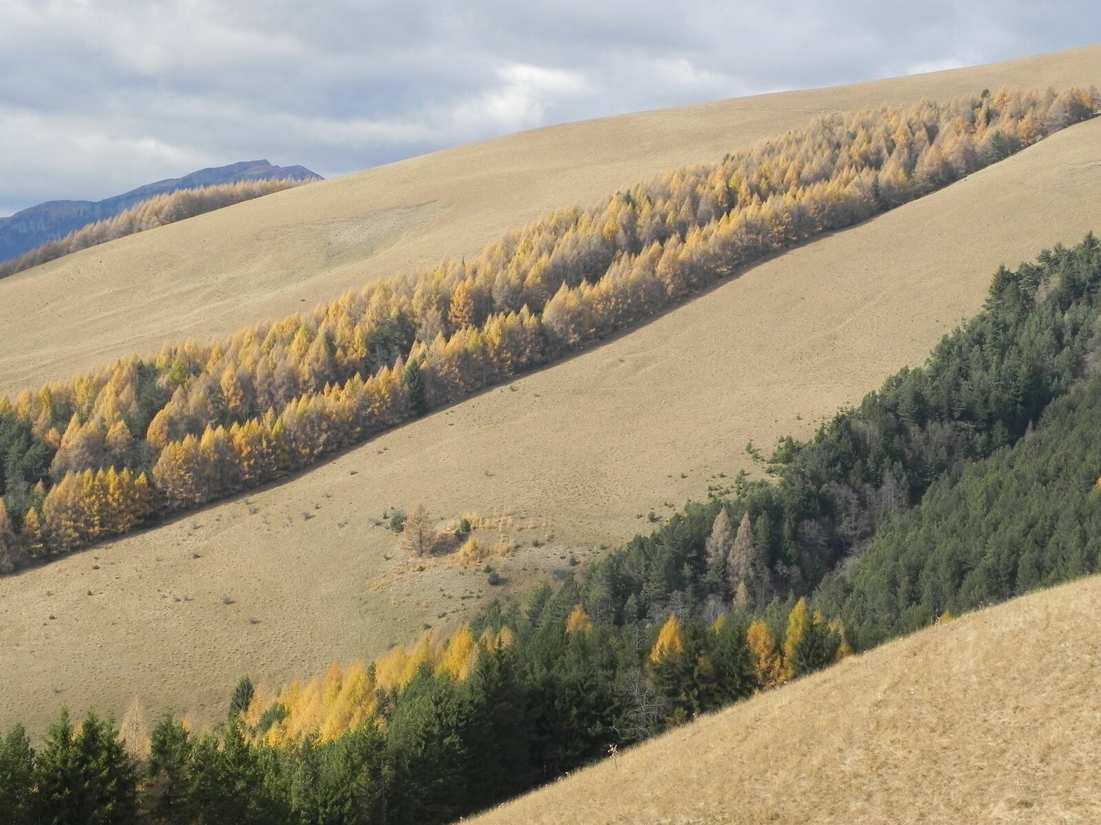 DSCN8081.JPG