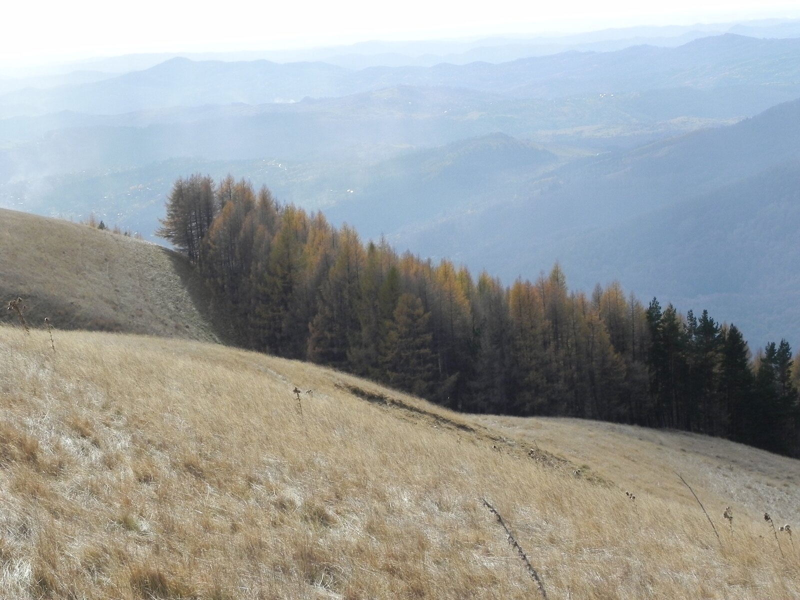 DSCN8091.JPG