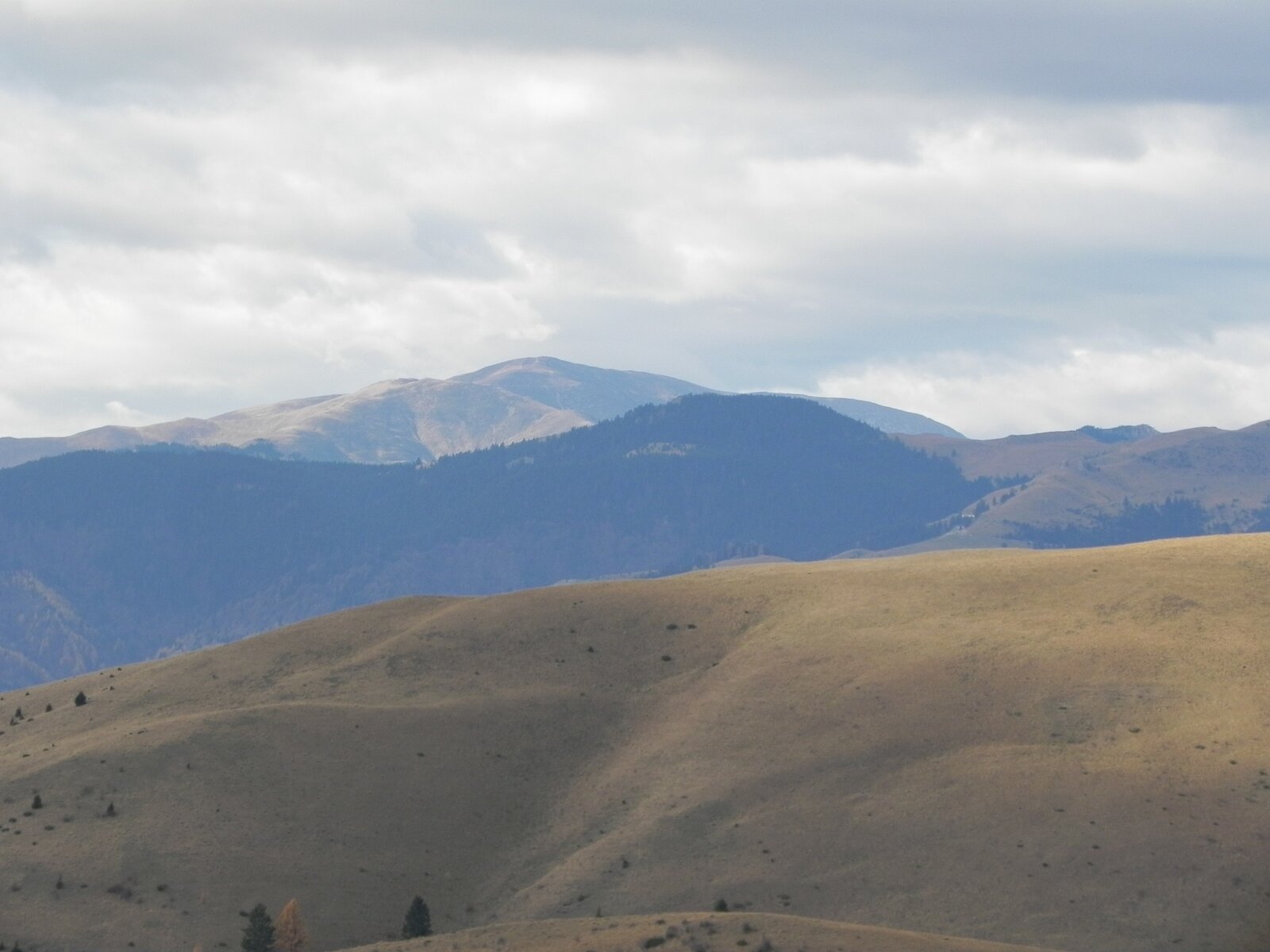 DSCN8094.JPG